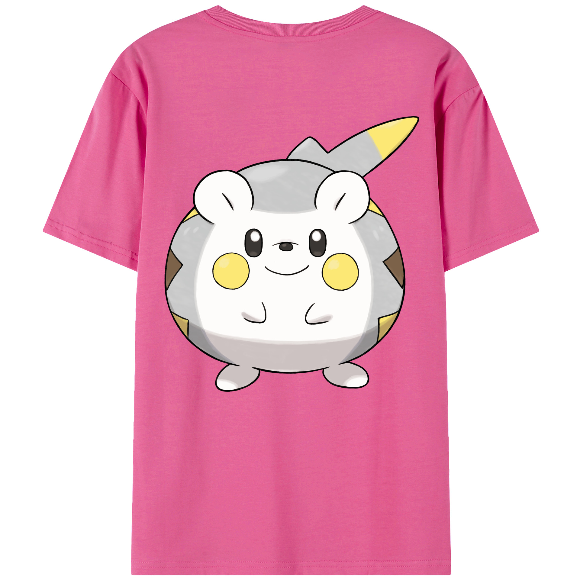 （画像用） ポケットモンスター Pokémon レディース半袖Tシャツ(バックプリント)