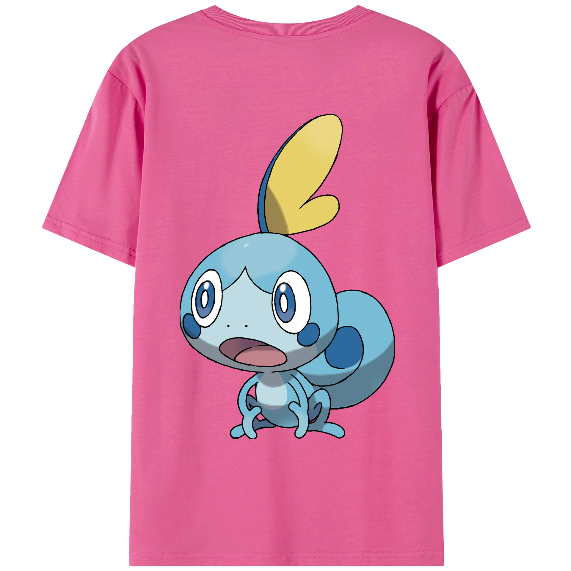 （画像用） ポケットモンスター Pokémon レディース半袖Tシャツ(バックプリント)