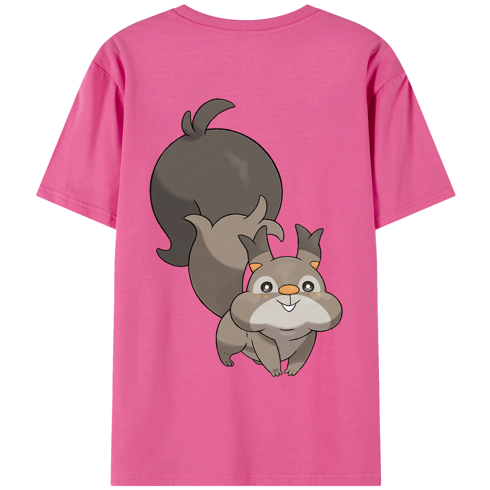 （画像用） ポケットモンスター Pokémon レディース半袖Tシャツ(バックプリント)