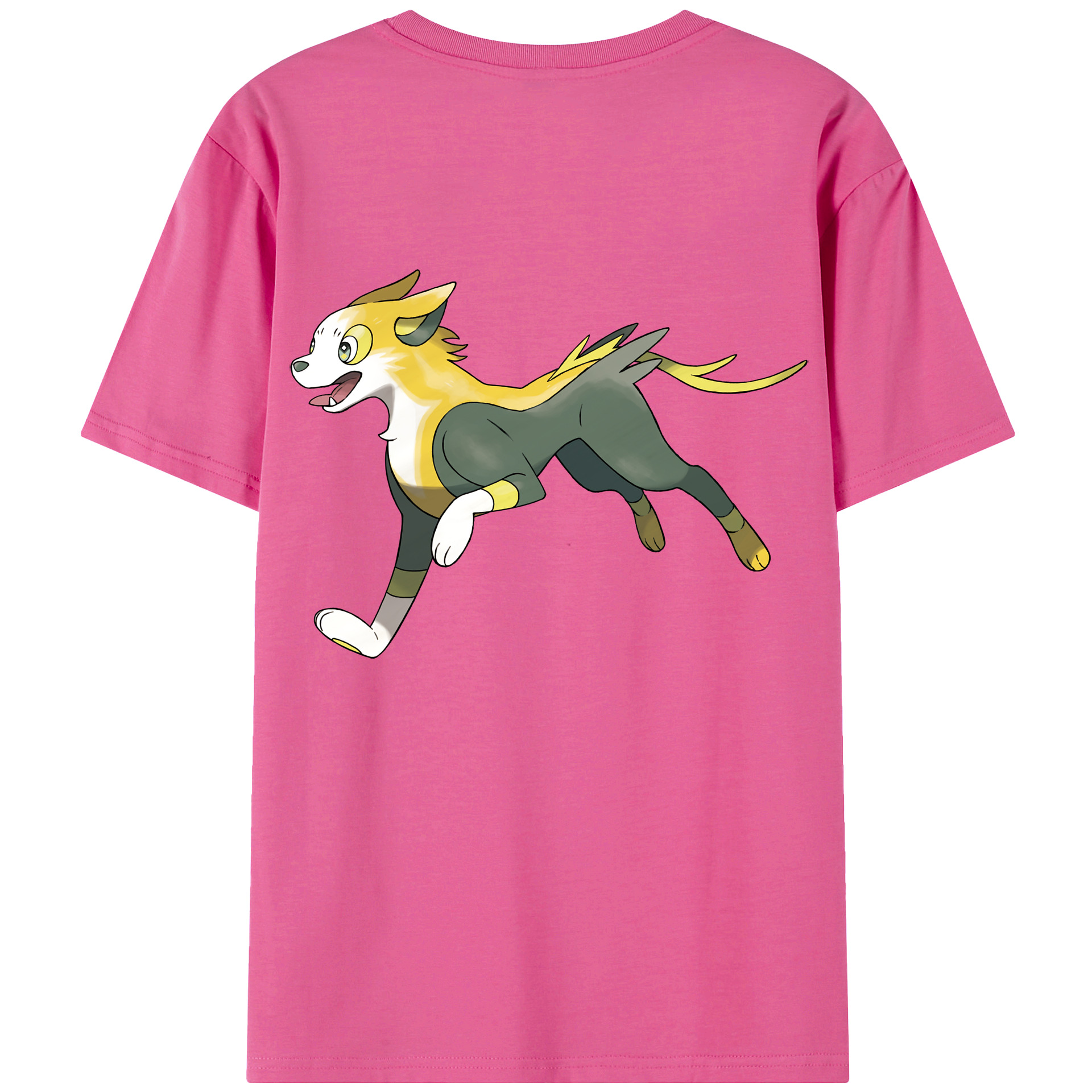 （画像用） ポケットモンスター Pokémon レディース半袖Tシャツ(バックプリント)