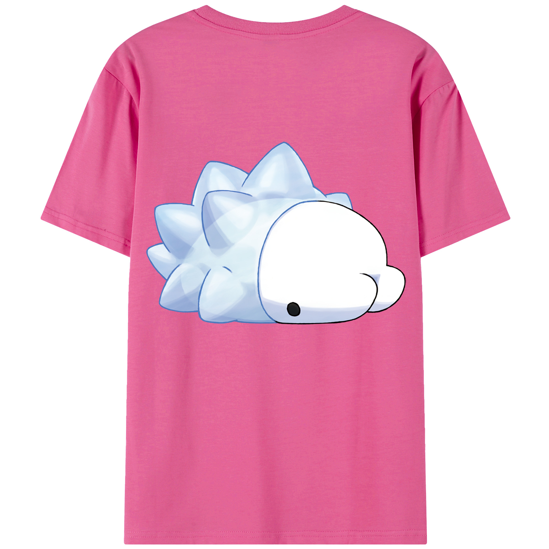 （画像用） ポケットモンスター Pokémon レディース半袖Tシャツ(バックプリント)