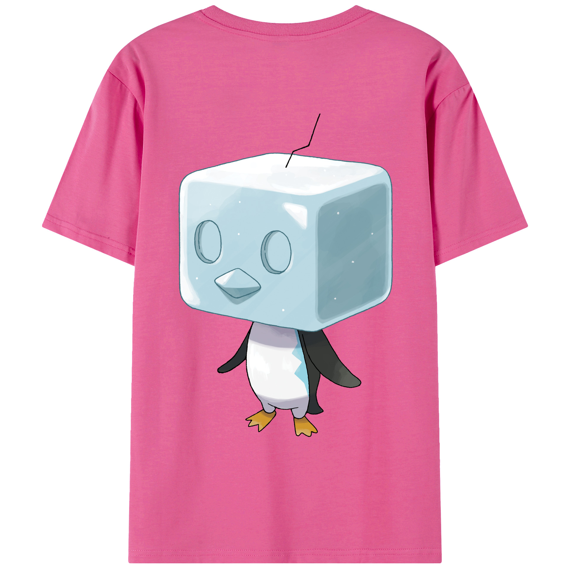 （画像用） ポケットモンスター Pokémon レディース半袖Tシャツ(バックプリント)