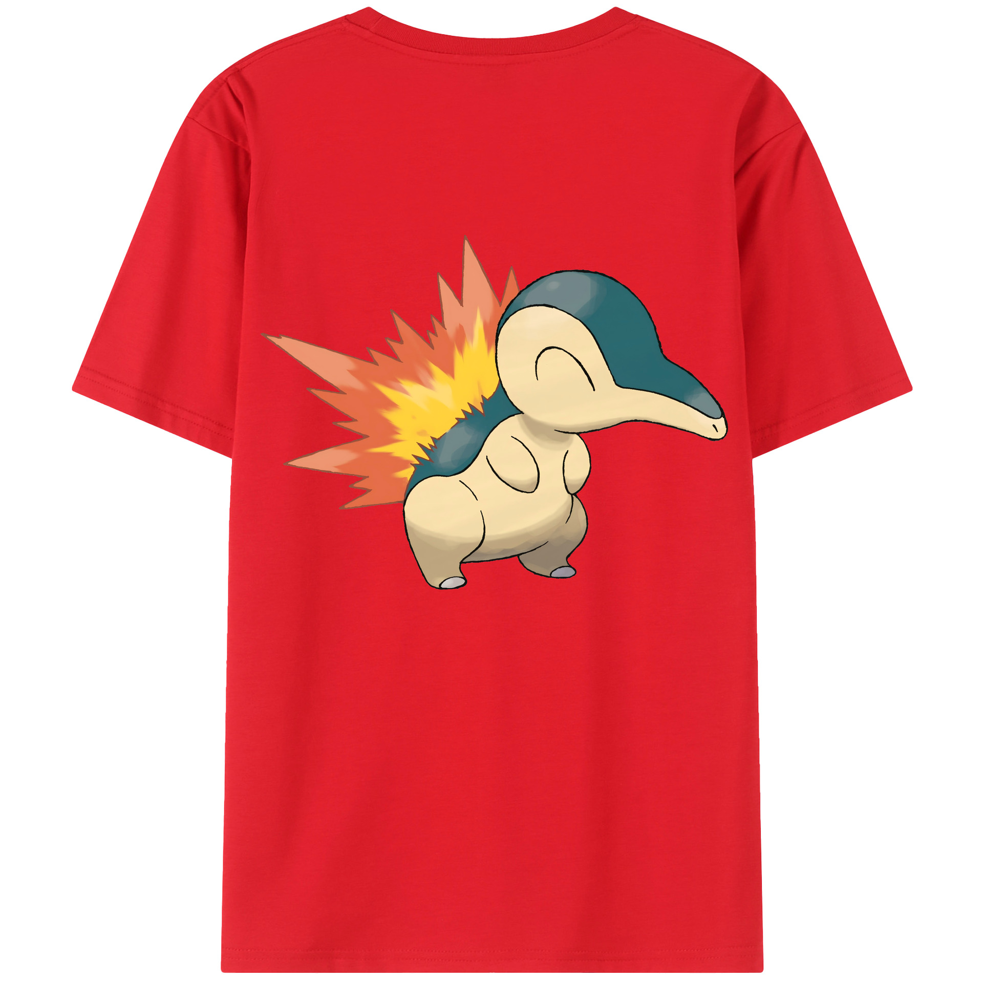 （画像用） ポケットモンスター Pokémon レディース半袖Tシャツ(バックプリント)