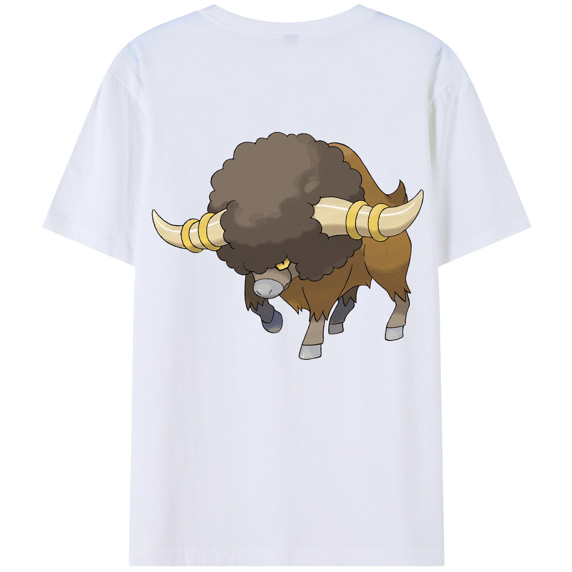 （画像用） ポケットモンスター Pokémon レディース半袖Tシャツ(バックプリント)