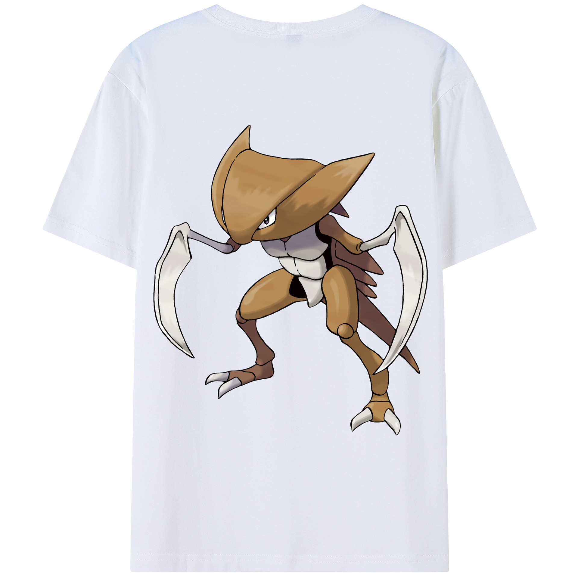 （画像用） ポケットモンスター Pokémon レディース半袖Tシャツ(バックプリント)