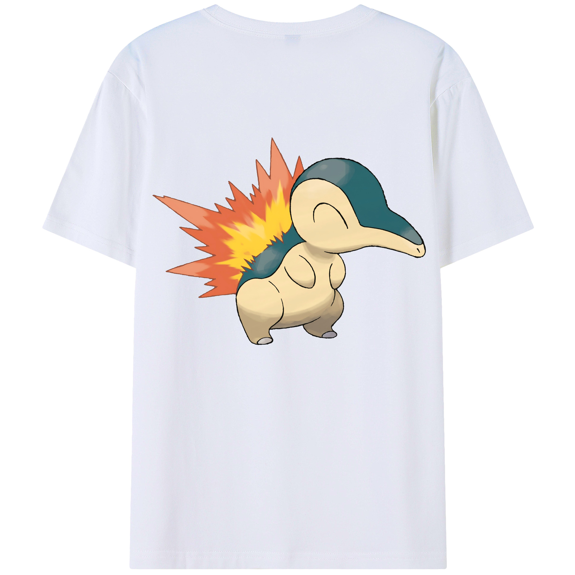 （画像用） ポケットモンスター Pokémon レディース半袖Tシャツ(バックプリント)