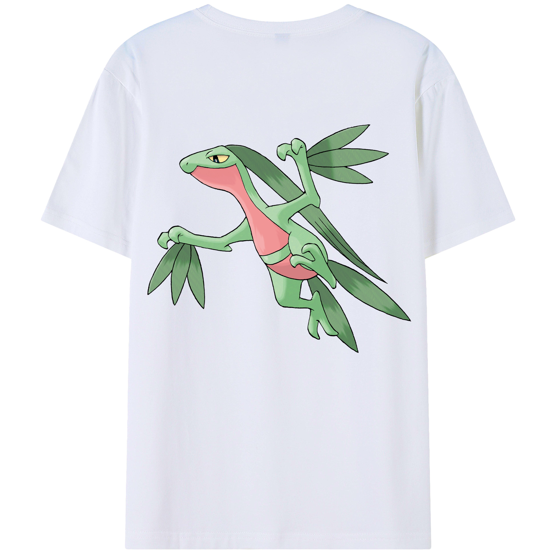 （画像用） ポケットモンスター Pokémon レディース半袖Tシャツ(バックプリント)