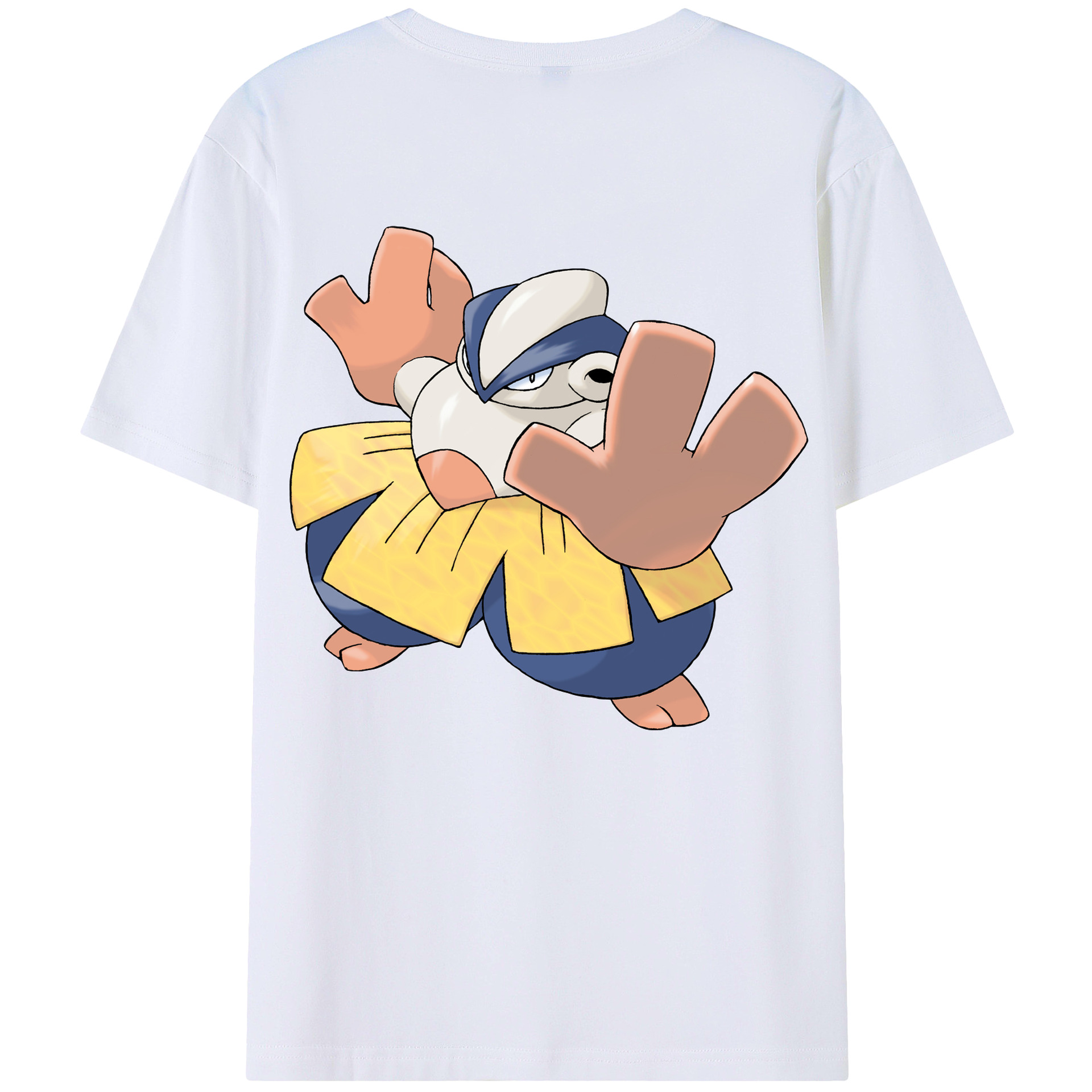 （画像用） ポケットモンスター Pokémon レディース半袖Tシャツ(バックプリント)