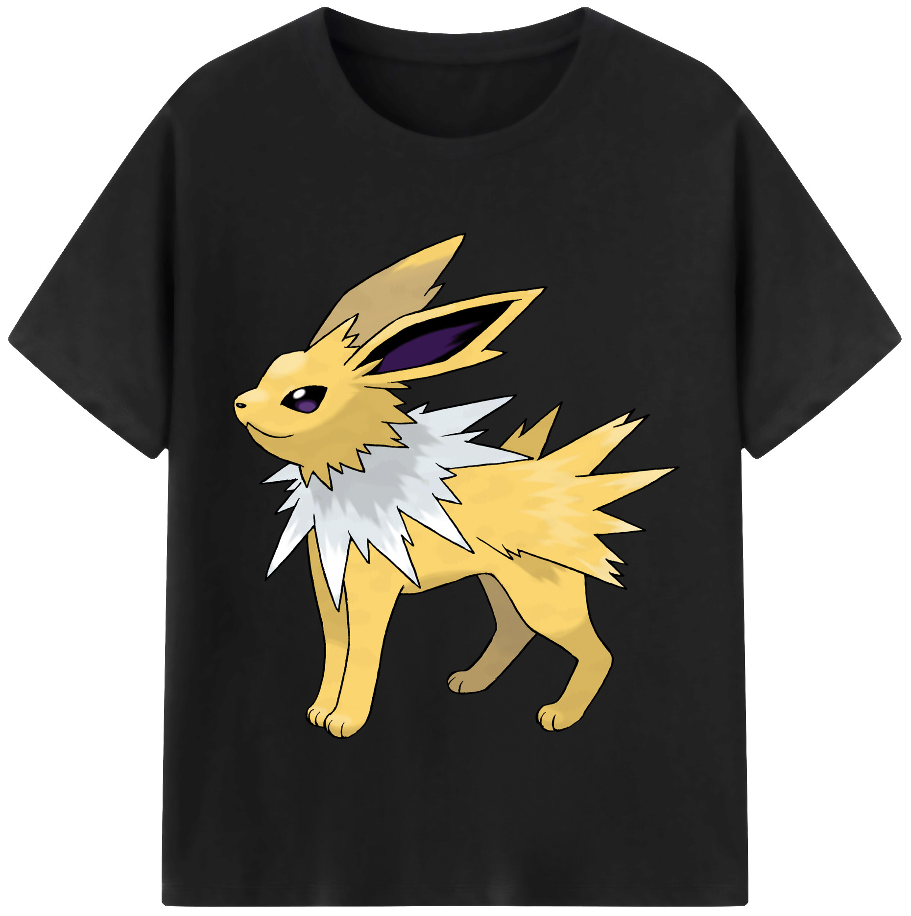 （画像用） ポケットモンスター Pokémon レディースカジュアルプリントTシャツ（綿100％）