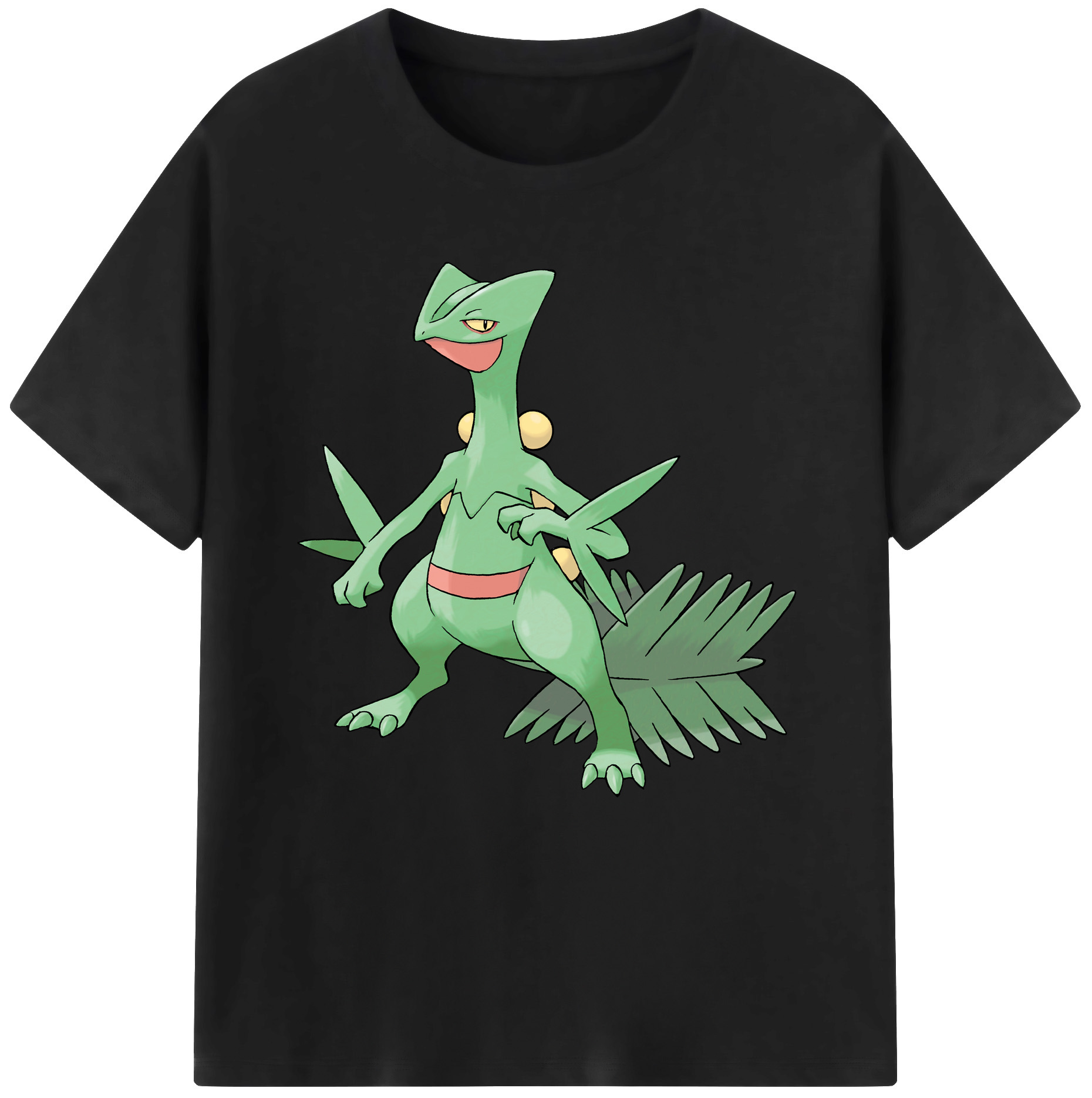 （画像用） ポケットモンスター Pokémon レディースカジュアルプリントTシャツ（綿100％）