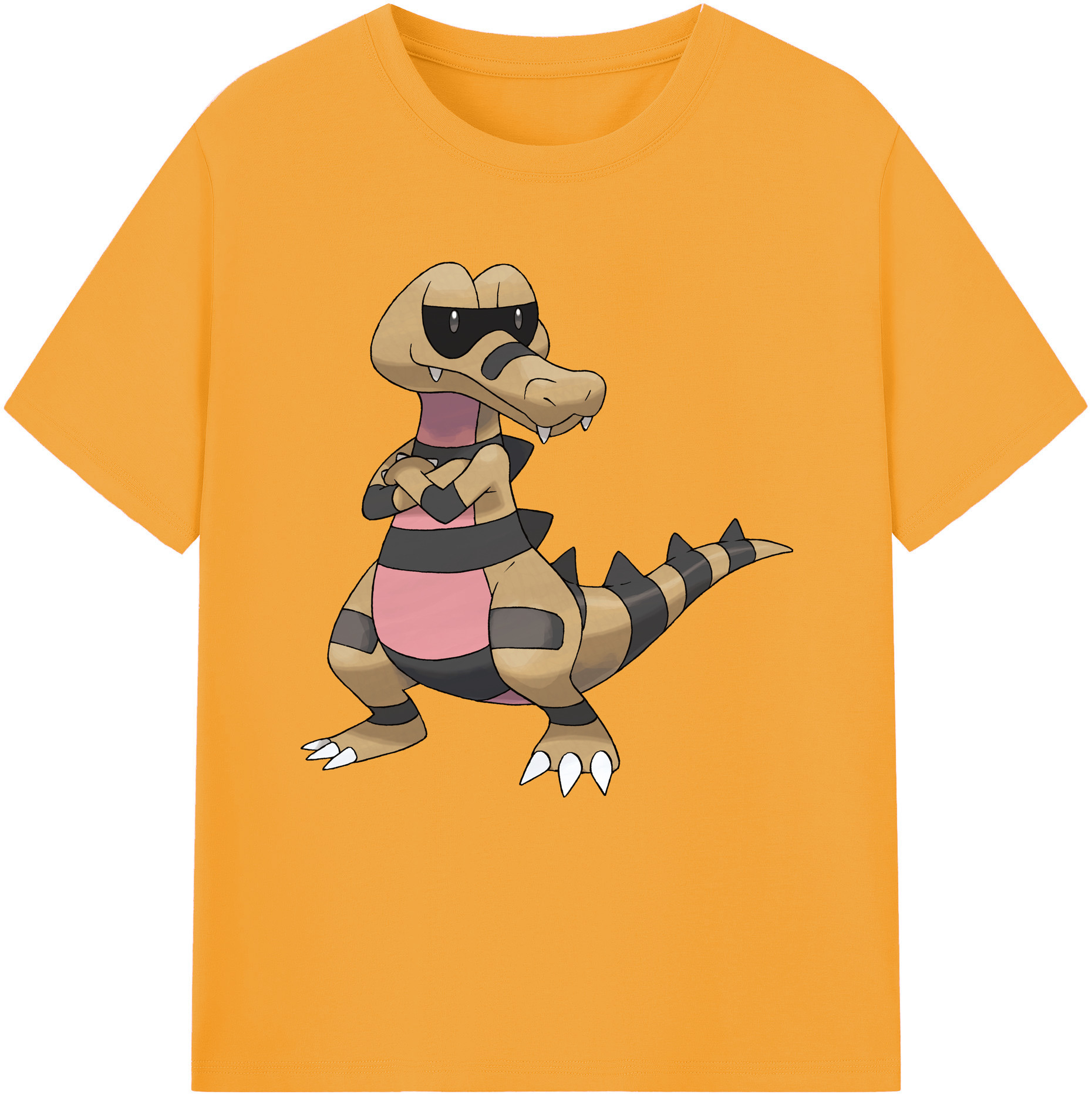 （画像用） ポケットモンスター Pokémon レディースカジュアルプリントTシャツ（綿100％）
