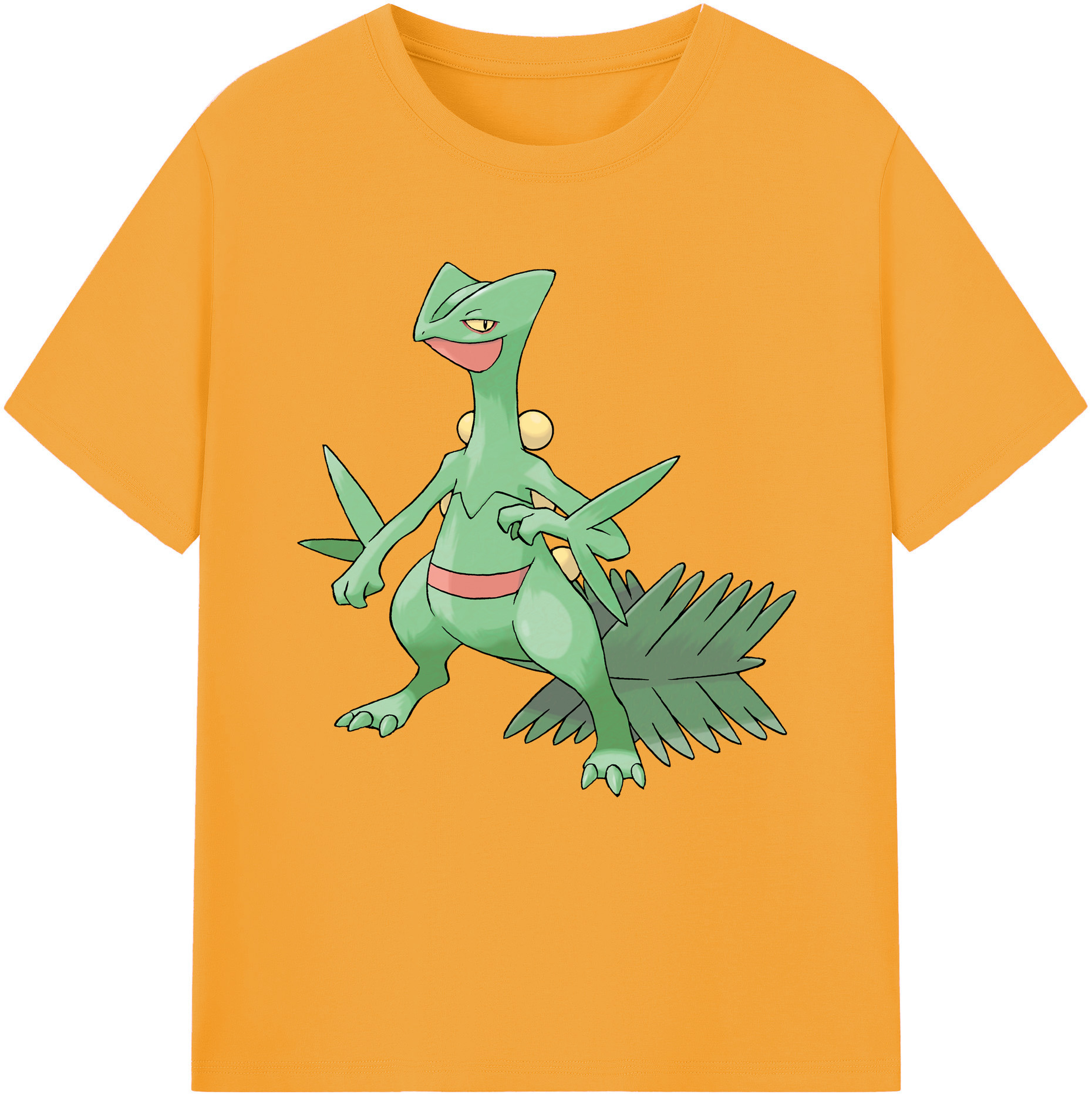 （画像用） ポケットモンスター Pokémon レディースカジュアルプリントTシャツ（綿100％）