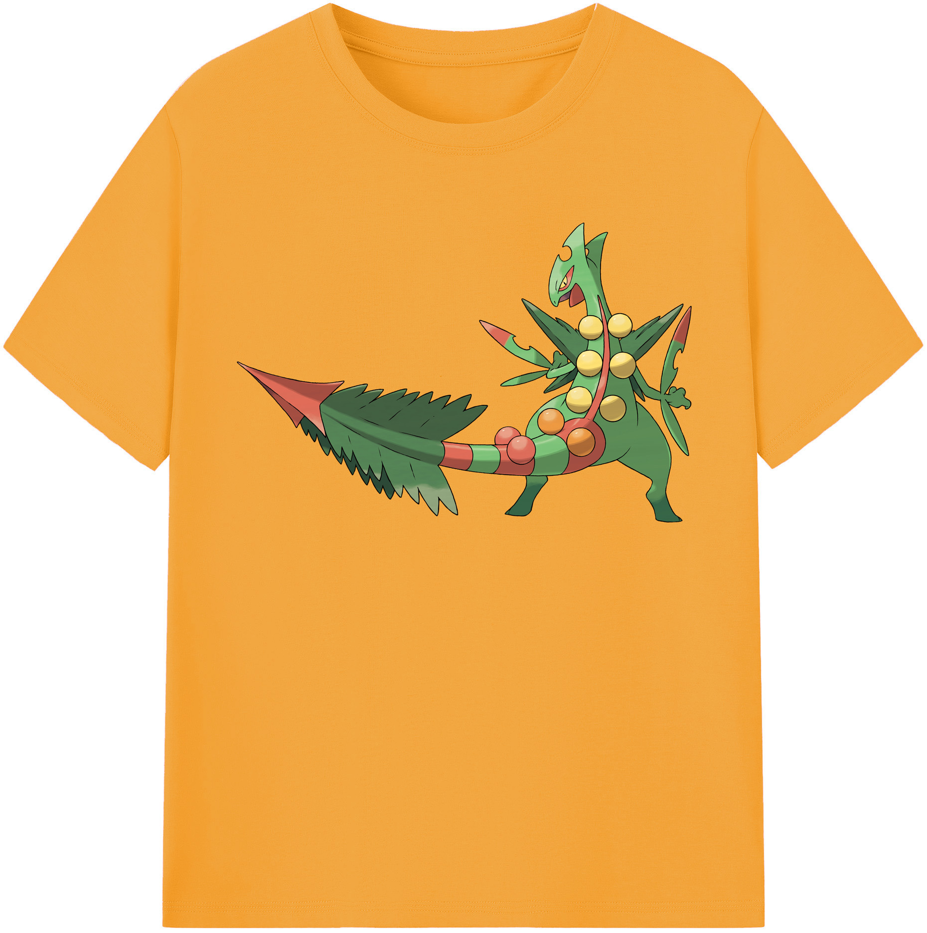 （画像用） ポケットモンスター Pokémon レディースカジュアルプリントTシャツ（綿100％）