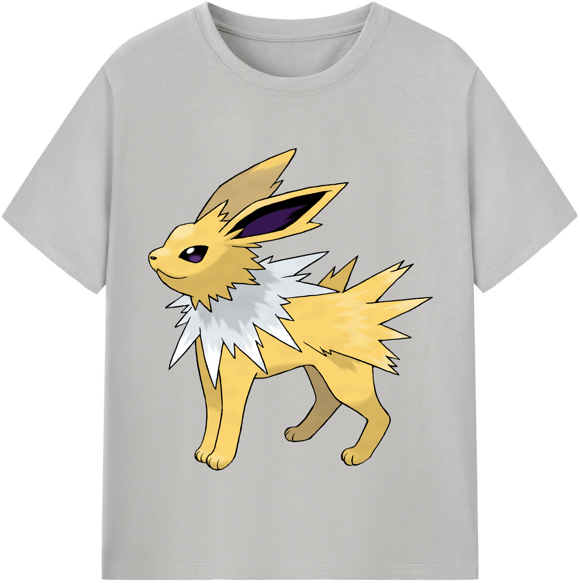 （画像用） ポケットモンスター Pokémon レディースカジュアルプリントTシャツ（綿100％）