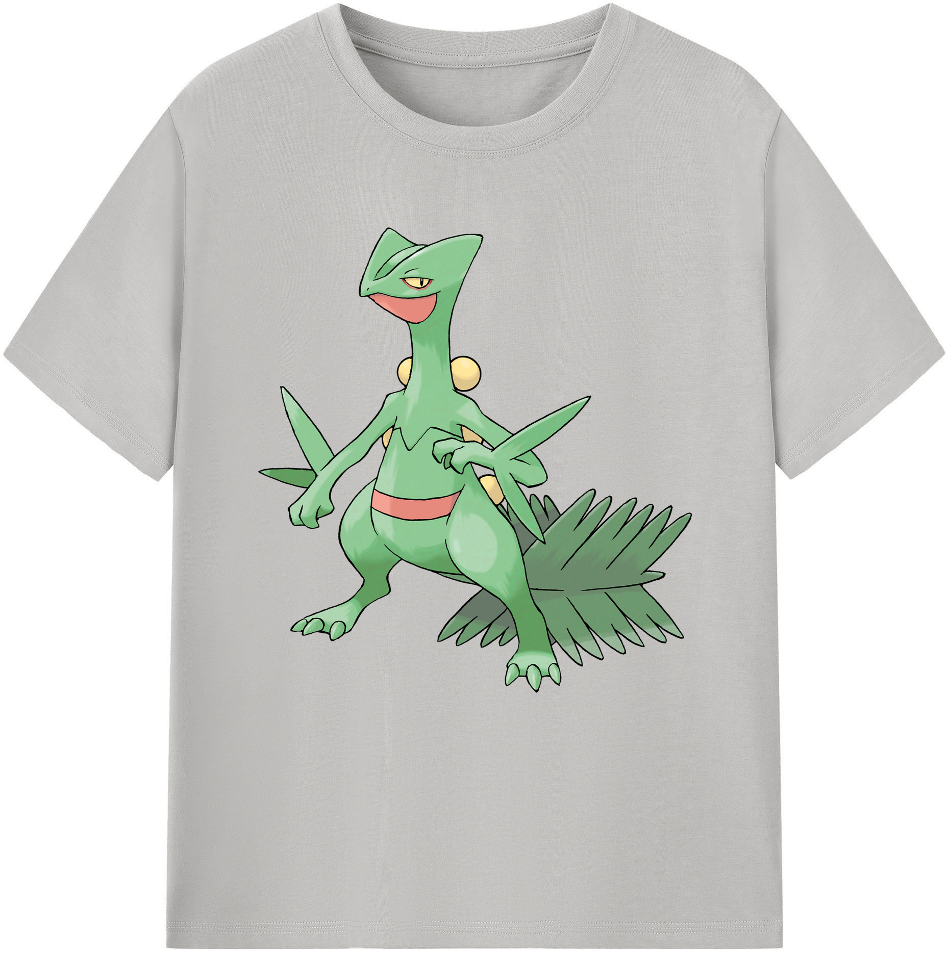 （画像用） ポケットモンスター Pokémon レディースカジュアルプリントTシャツ（綿100％）