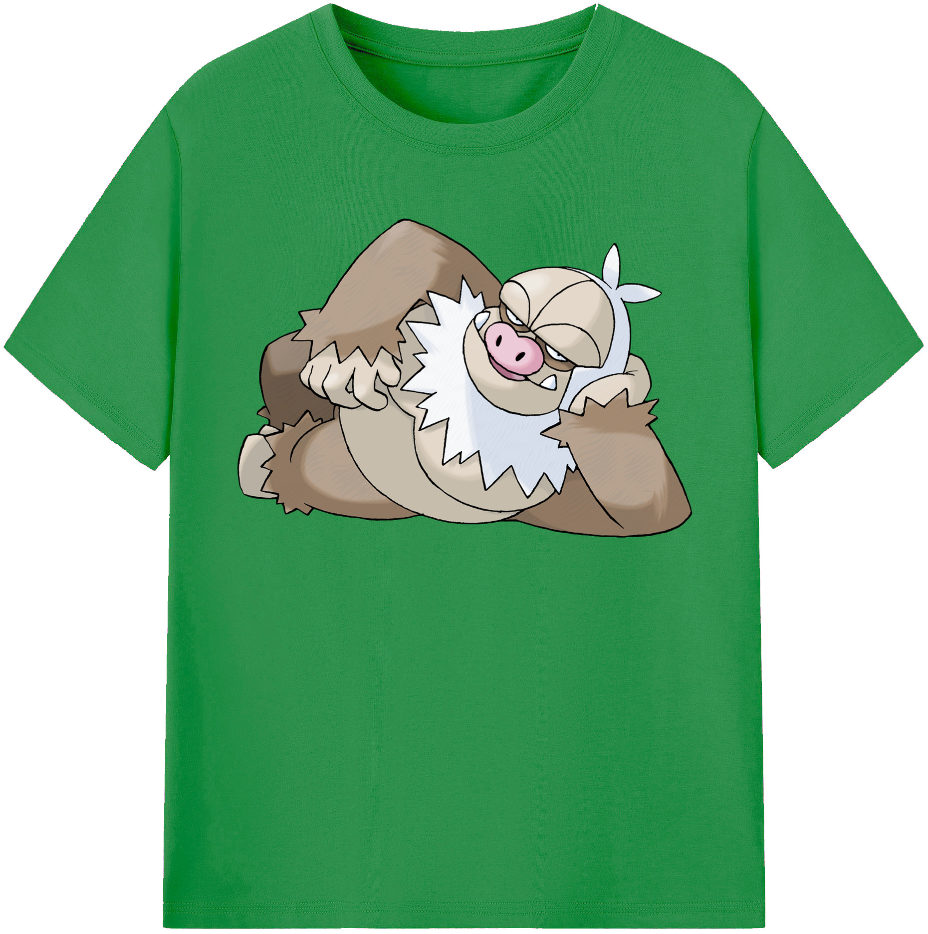 （画像用） ポケットモンスター Pokémon レディースカジュアルプリントTシャツ（綿100％）