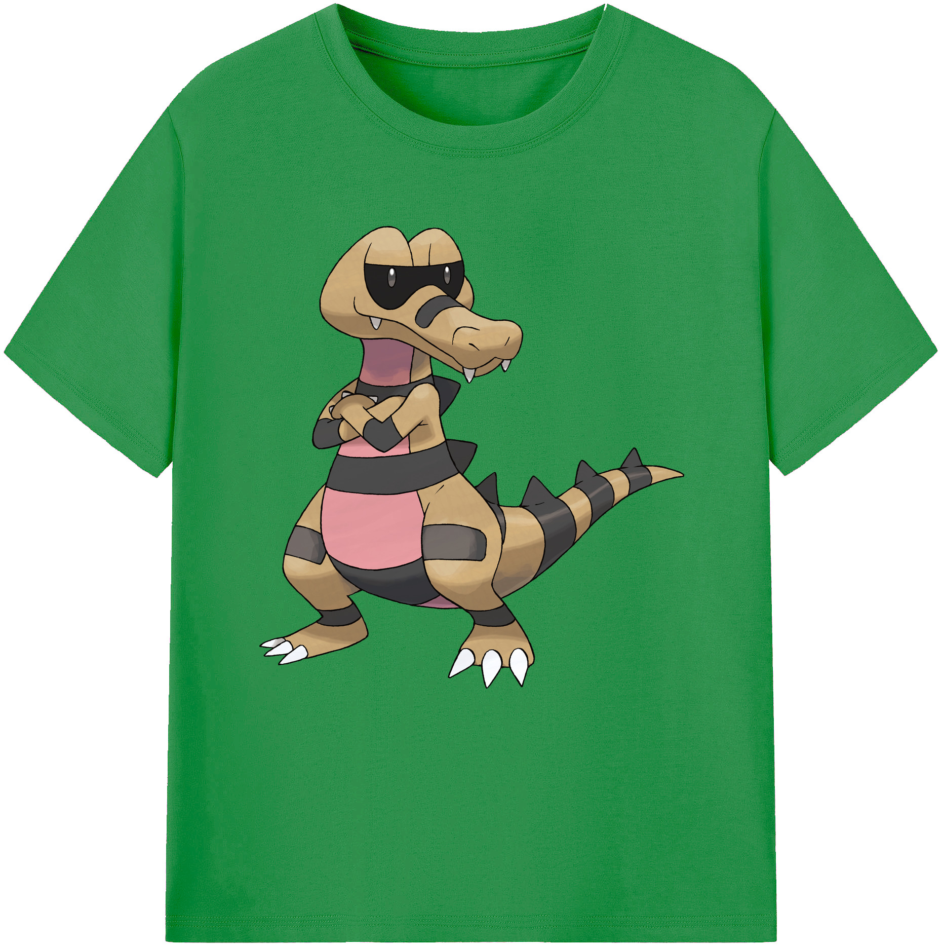 （画像用） ポケットモンスター Pokémon レディースカジュアルプリントTシャツ（綿100％）