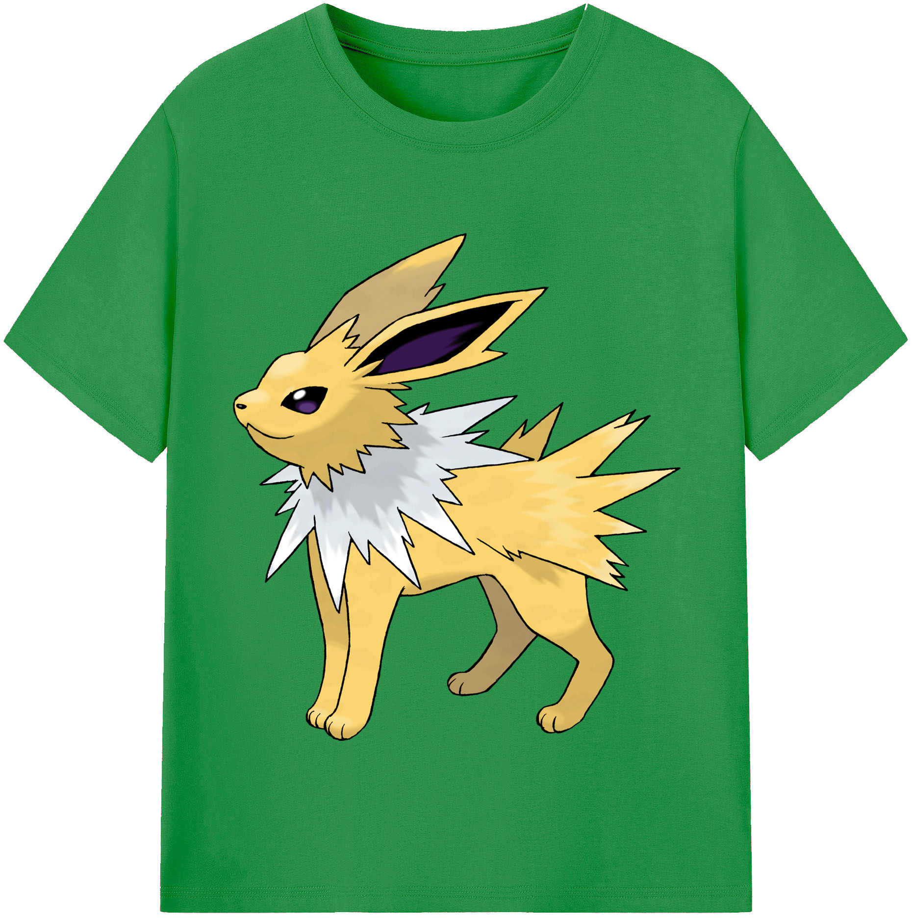 （画像用） ポケットモンスター Pokémon レディースカジュアルプリントTシャツ（綿100％）