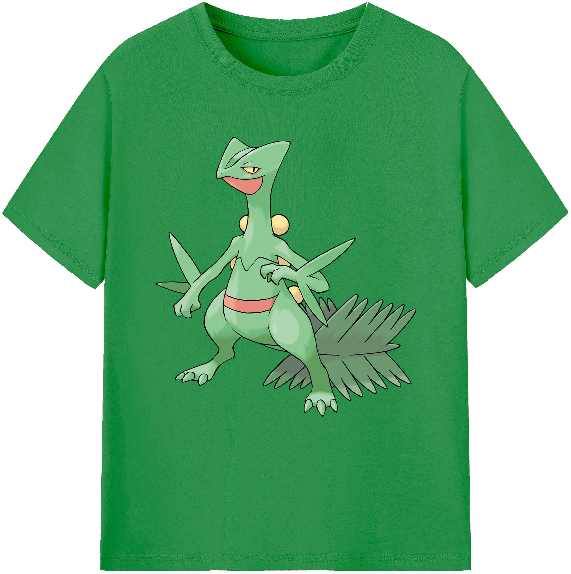 （画像用） ポケットモンスター Pokémon レディースカジュアルプリントTシャツ（綿100％）