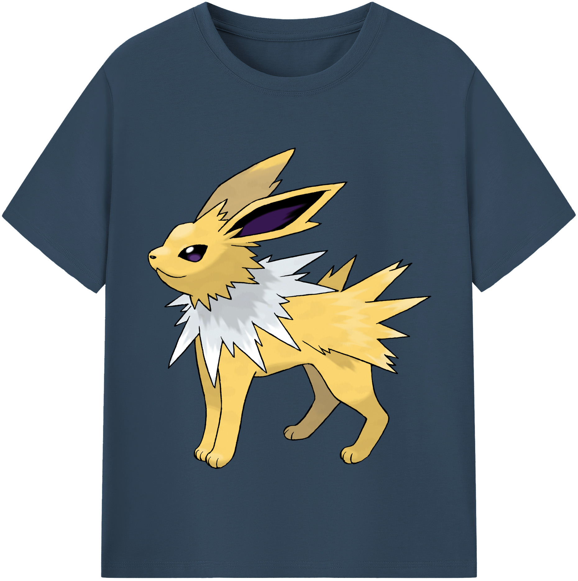 （画像用） ポケットモンスター Pokémon レディースカジュアルプリントTシャツ（綿100％）