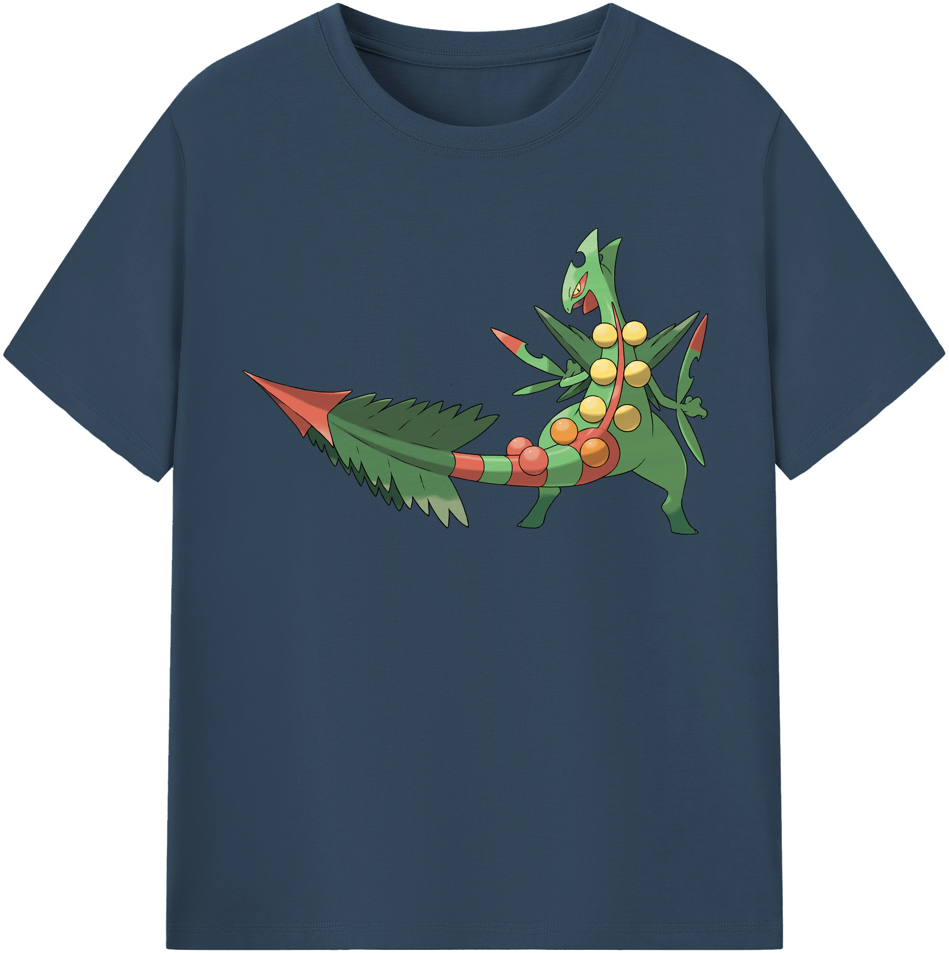 （画像用） ポケットモンスター Pokémon レディースカジュアルプリントTシャツ（綿100％）