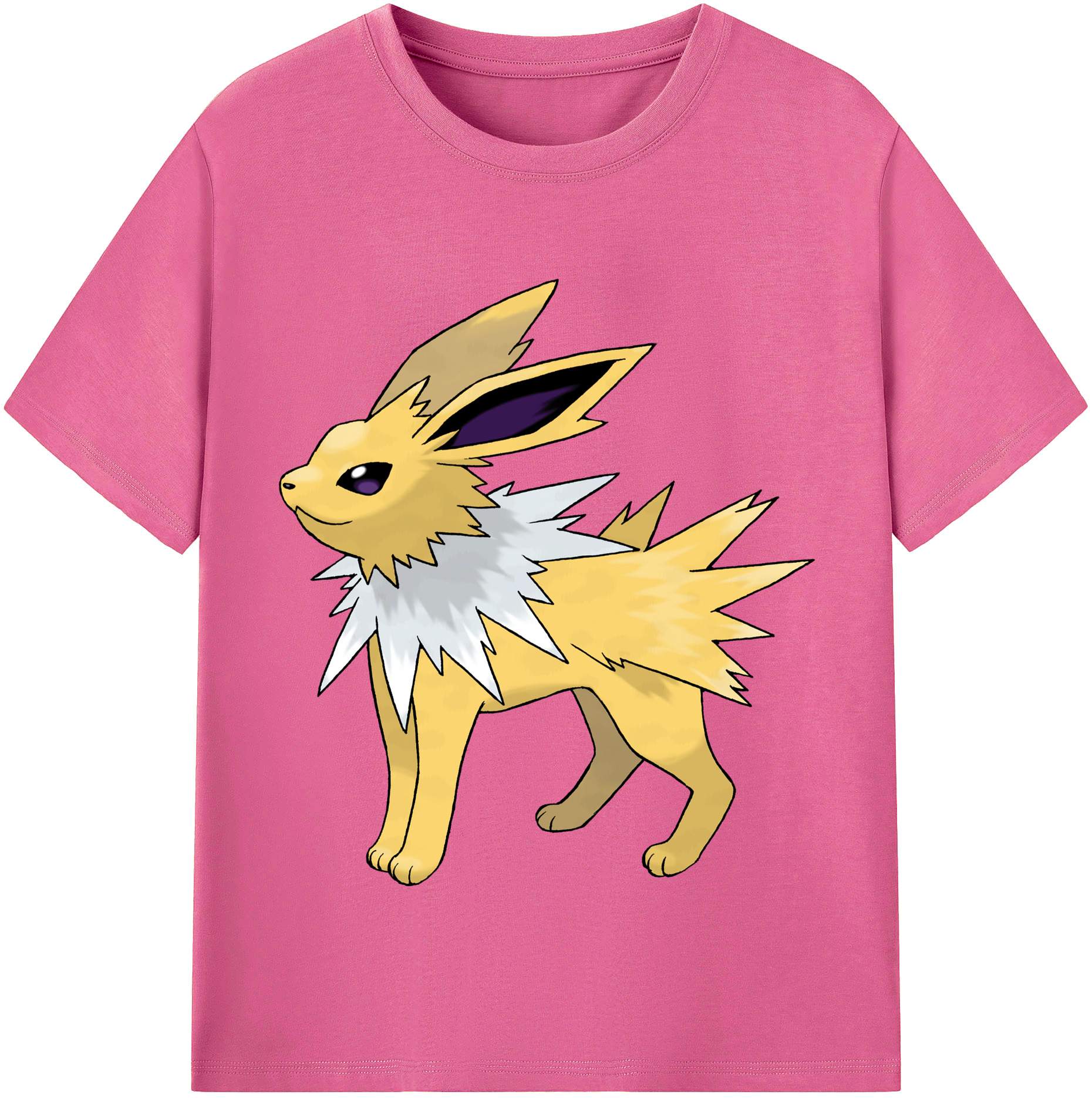 （画像用） ポケットモンスター Pokémon レディースカジュアルプリントTシャツ（綿100％）