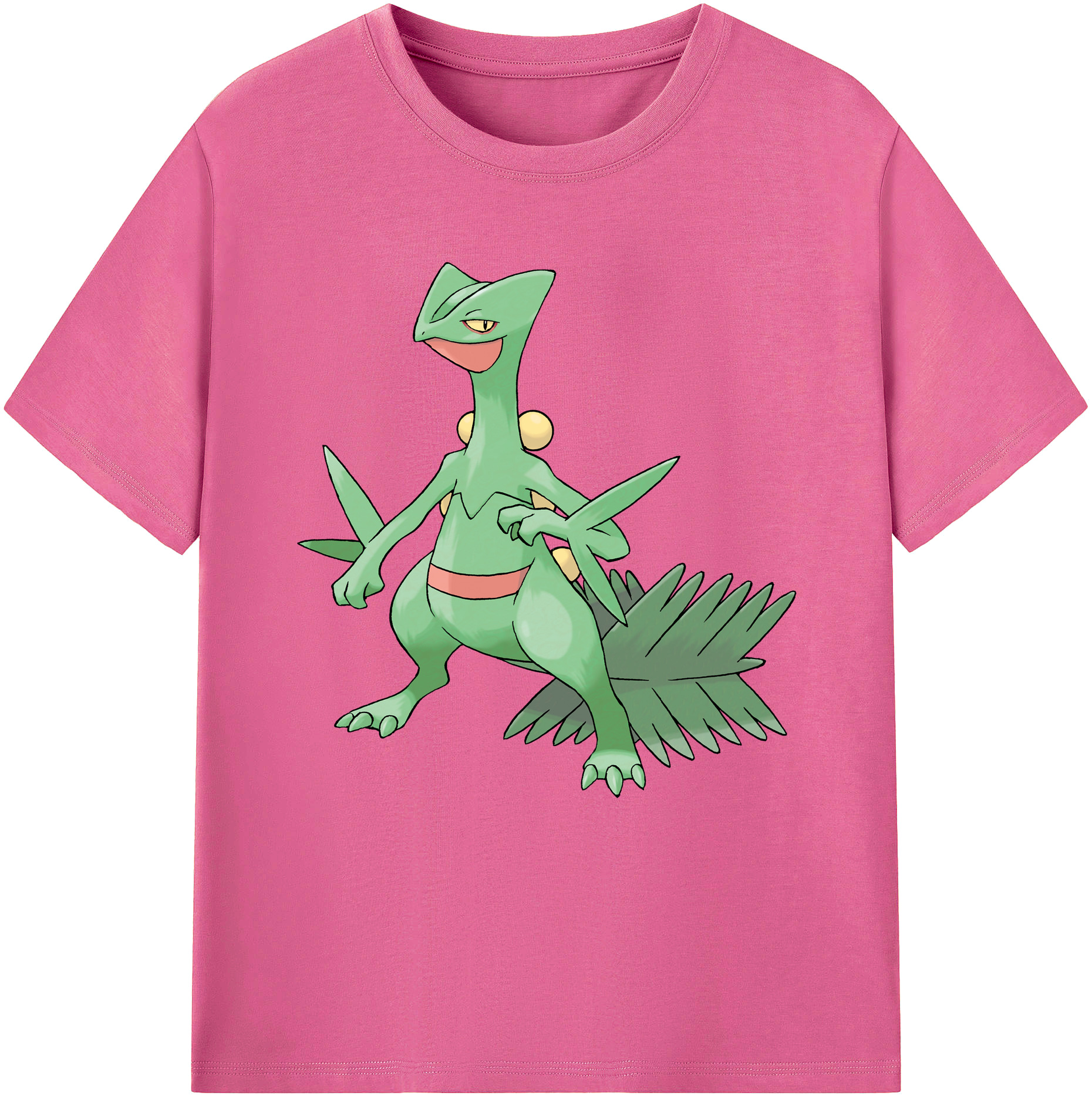 （画像用） ポケットモンスター Pokémon レディースカジュアルプリントTシャツ（綿100％）