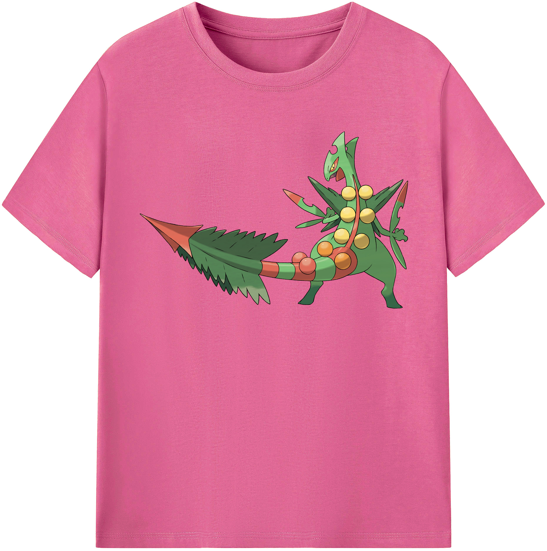 （画像用） ポケットモンスター Pokémon レディースカジュアルプリントTシャツ（綿100％）