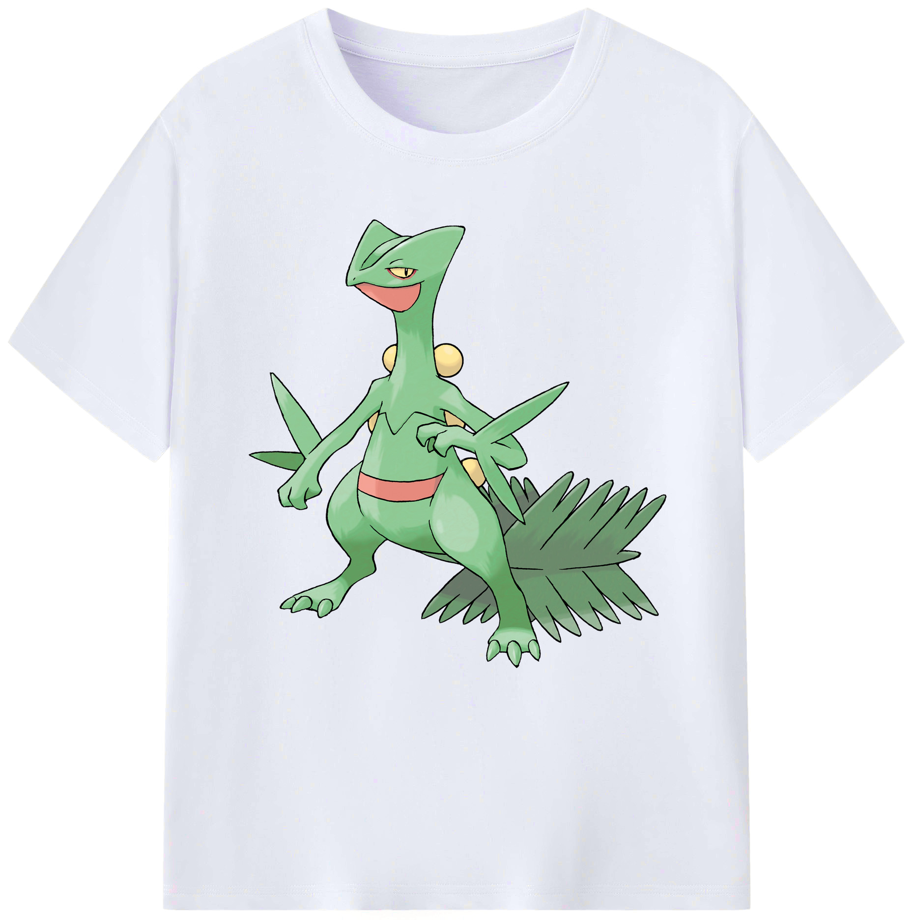（画像用） ポケットモンスター Pokémon レディースカジュアルプリントTシャツ（綿100％）