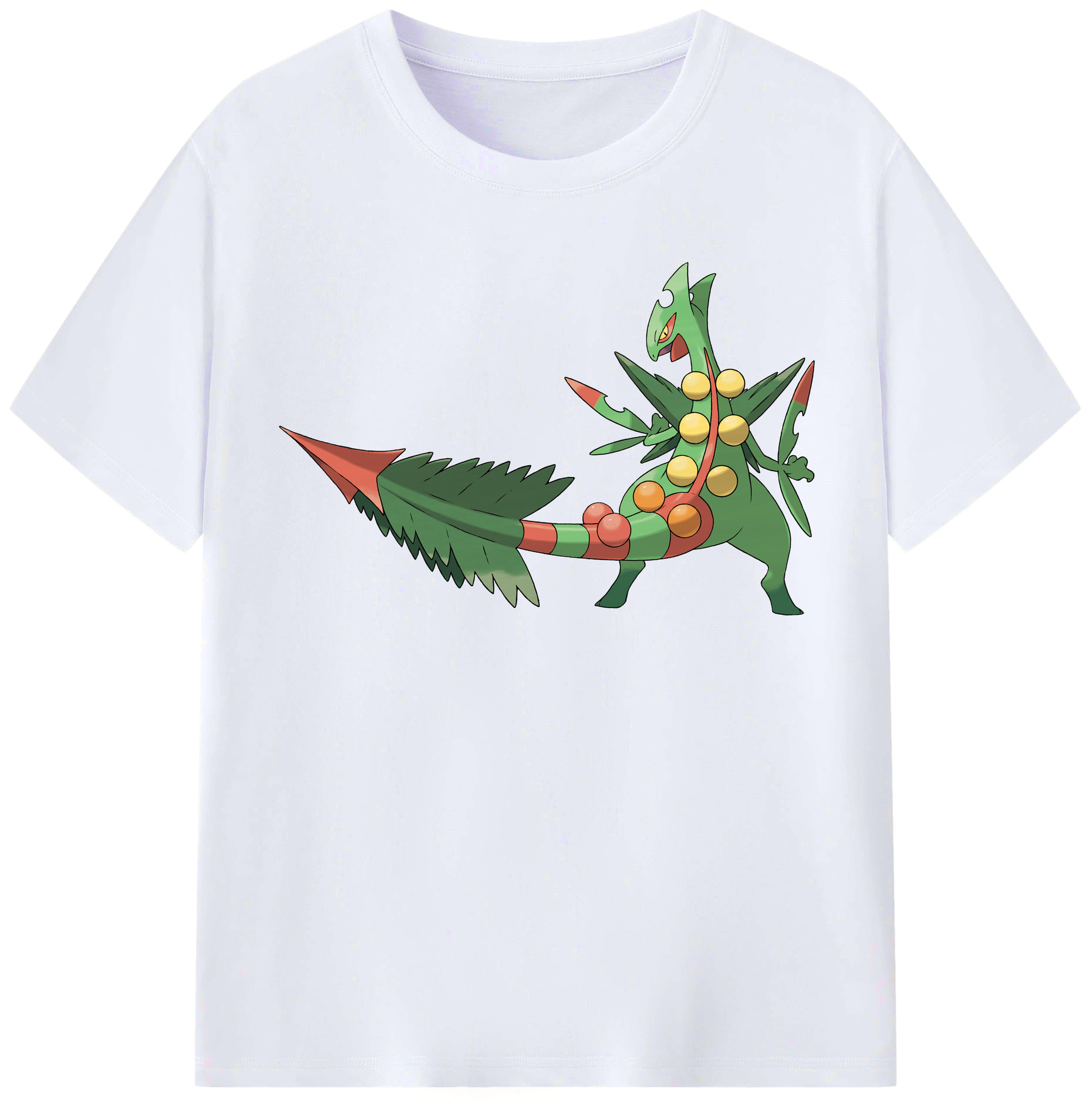 （画像用） ポケットモンスター Pokémon レディースカジュアルプリントTシャツ（綿100％）