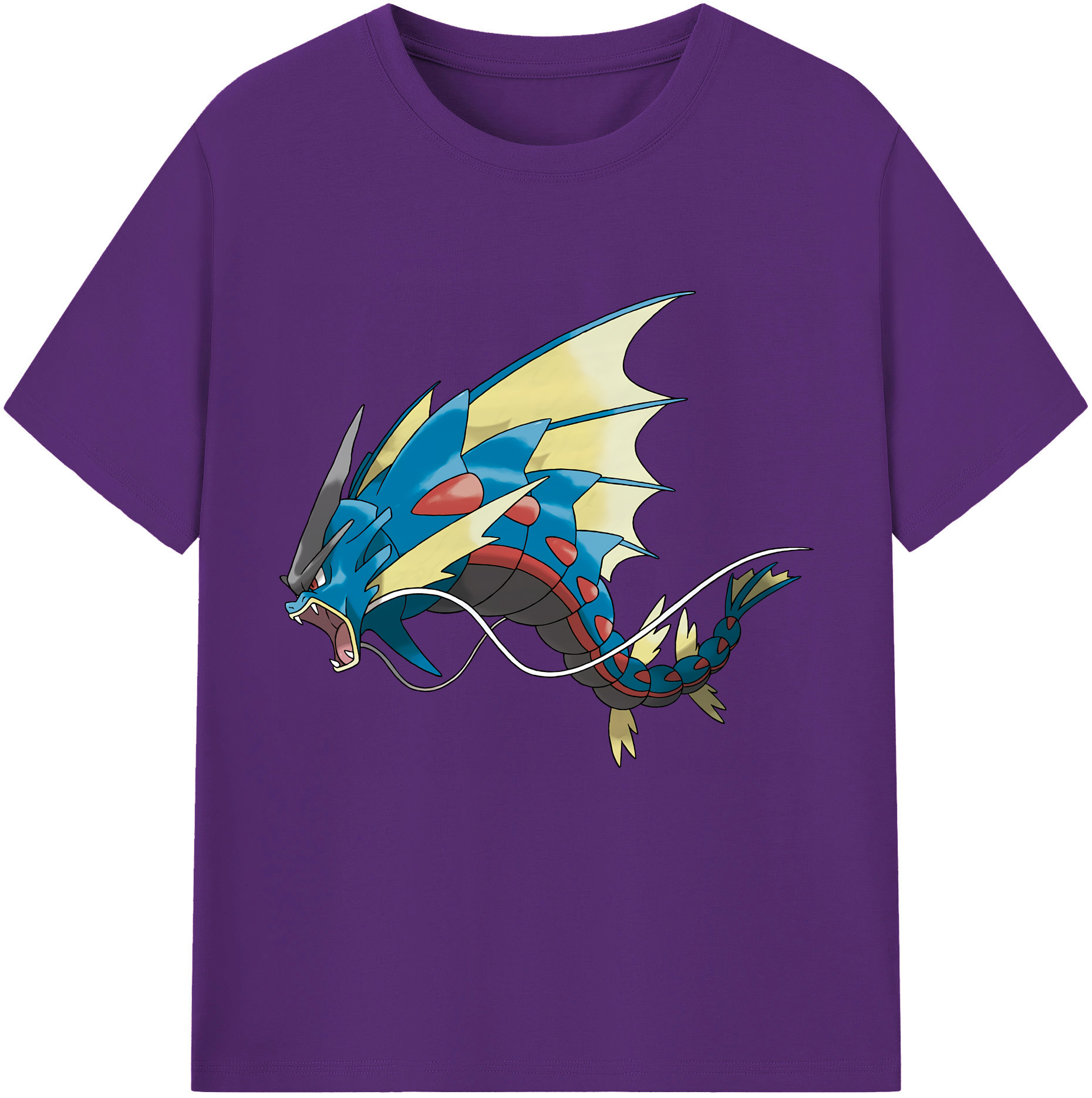 （画像用） ポケットモンスター Pokémon 綿100％半袖Tシャツ（フロントプリント）