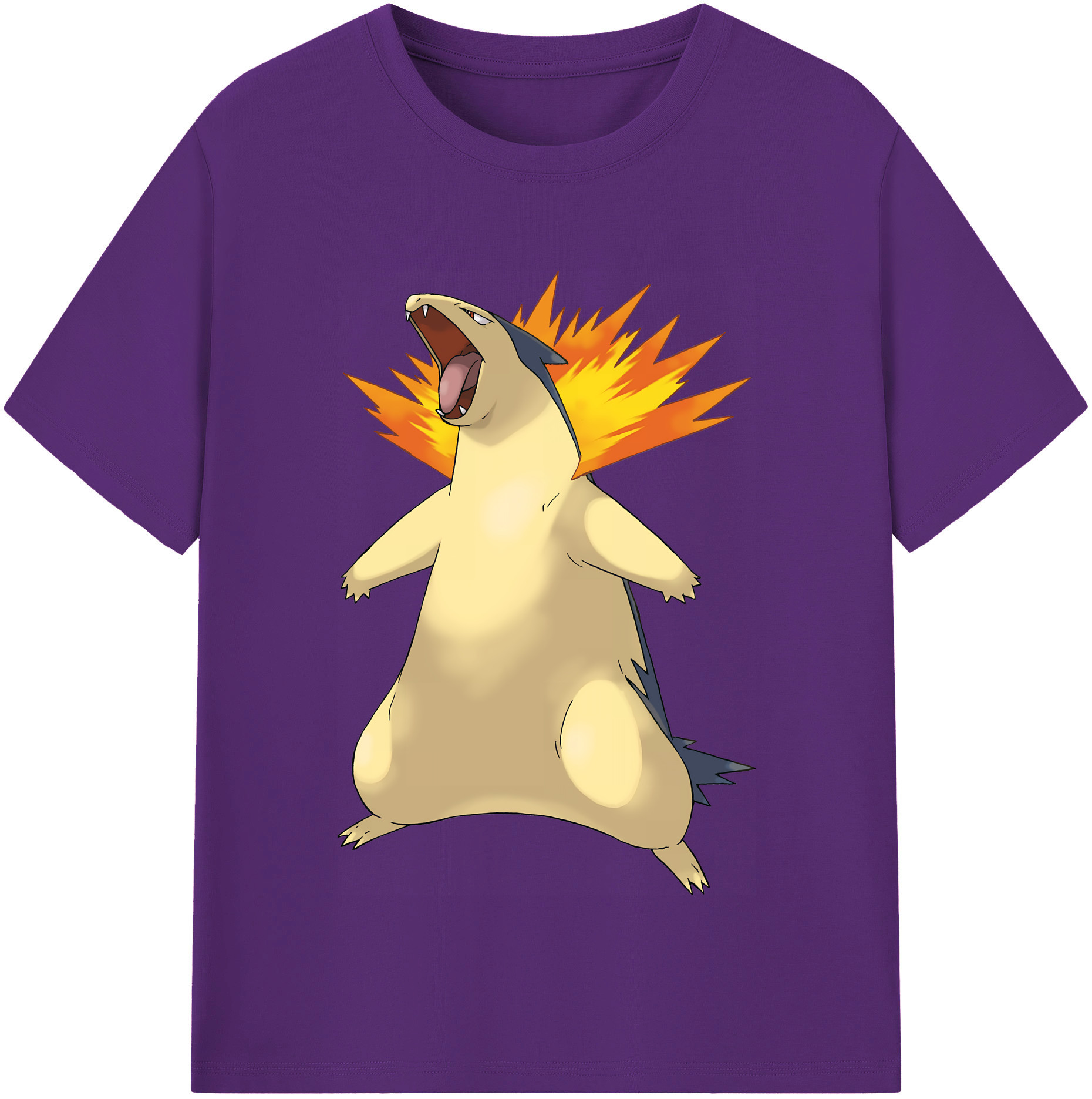 （画像用） ポケットモンスター Pokémon 綿100％半袖Tシャツ（フロントプリント）