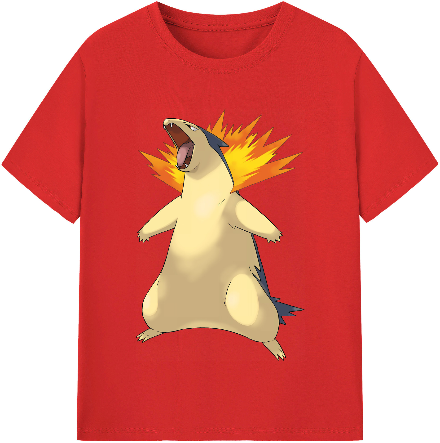 （画像用） ポケットモンスター Pokémon 綿100％半袖Tシャツ（フロントプリント）