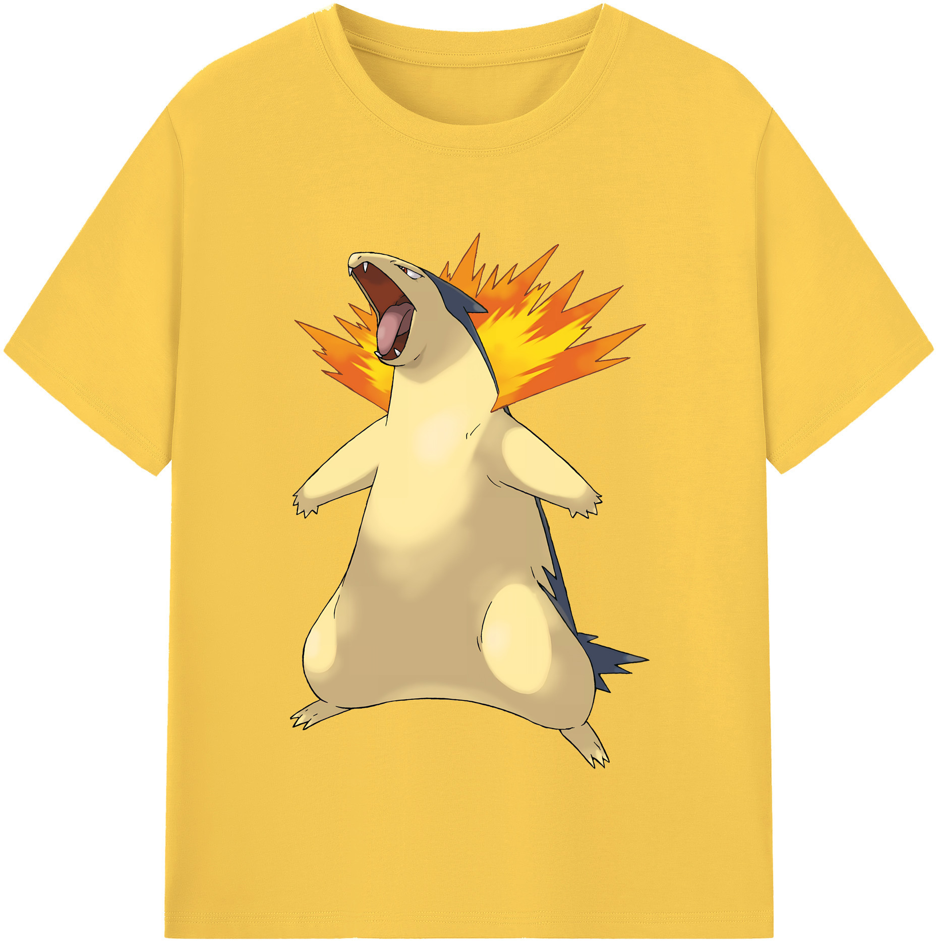 （画像用） ポケットモンスター Pokémon 綿100％半袖Tシャツ（フロントプリント）