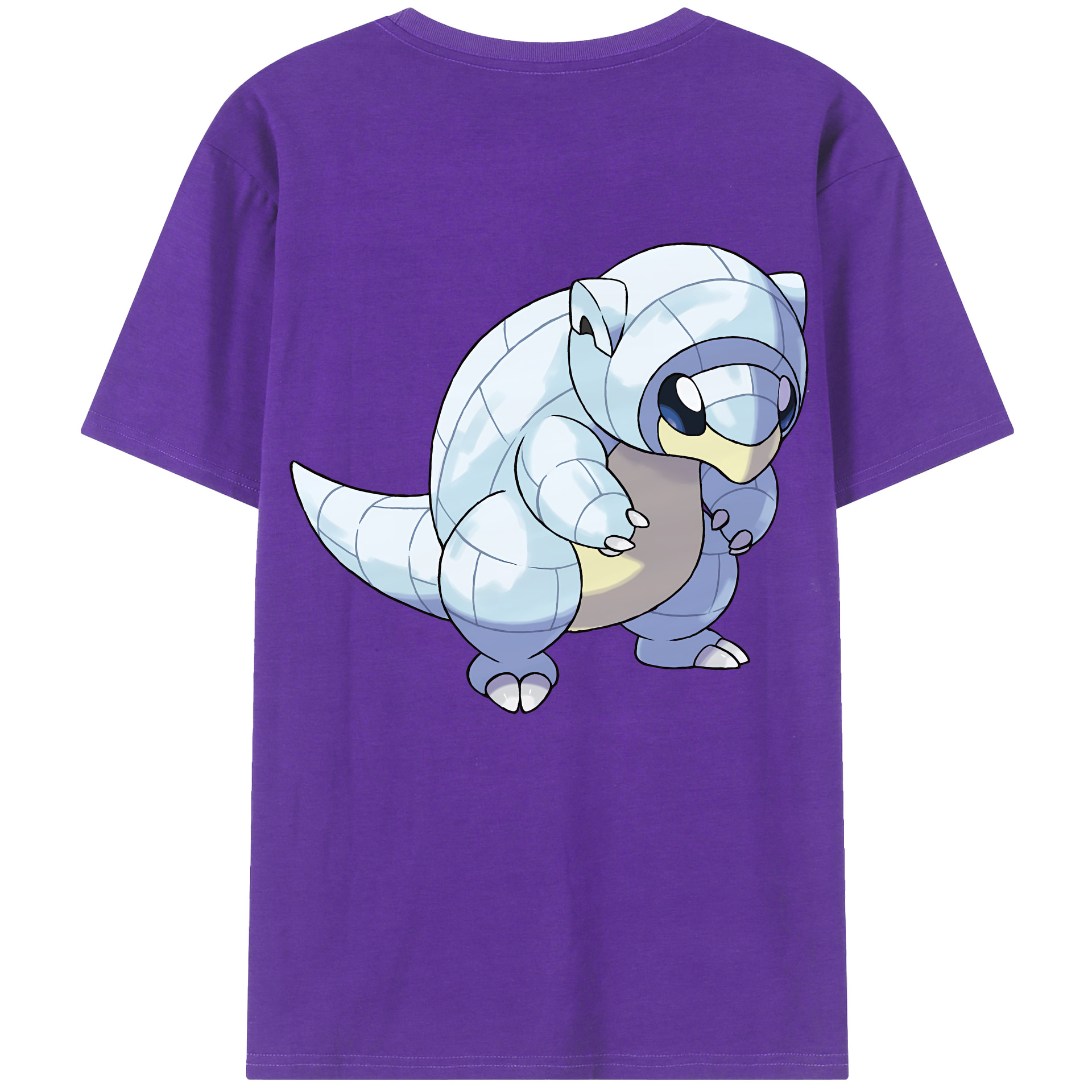 （画像用） ポケットモンスター Pokémon 綿100％半袖Tシャツ（背面プリント）