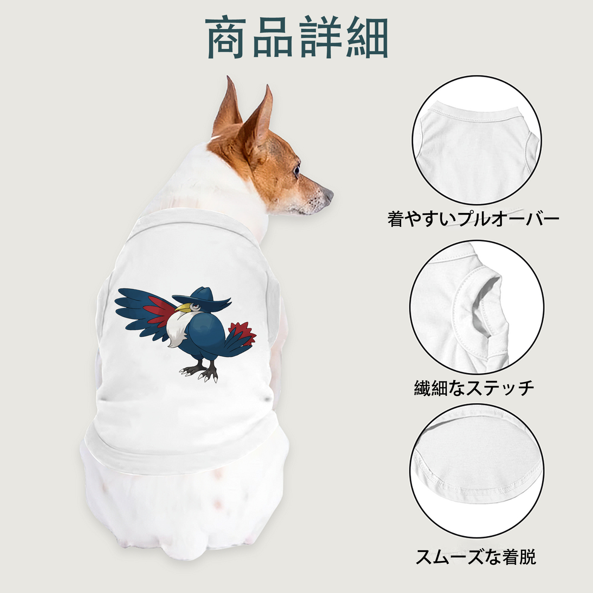 一般的なイメージ