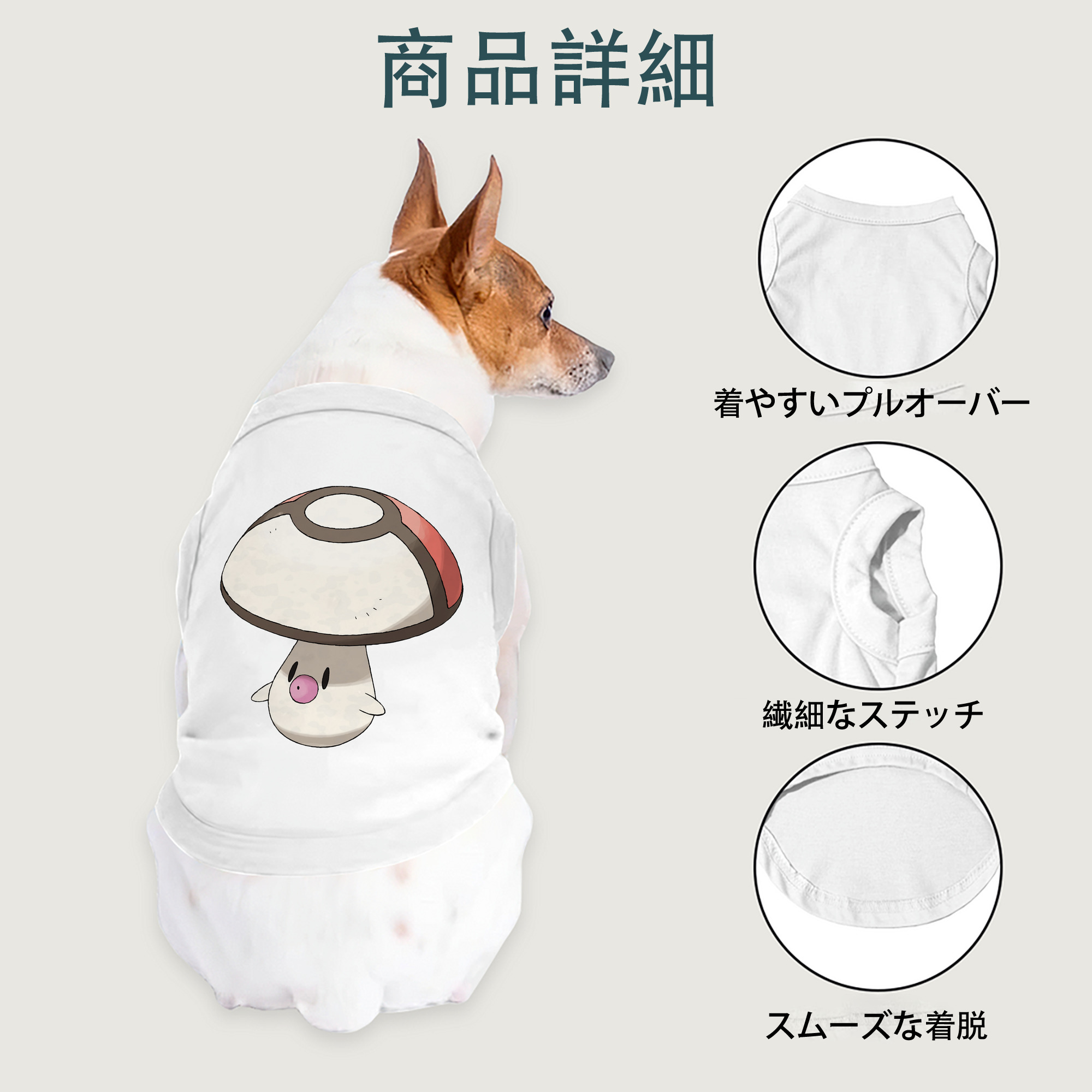一般的なイメージ