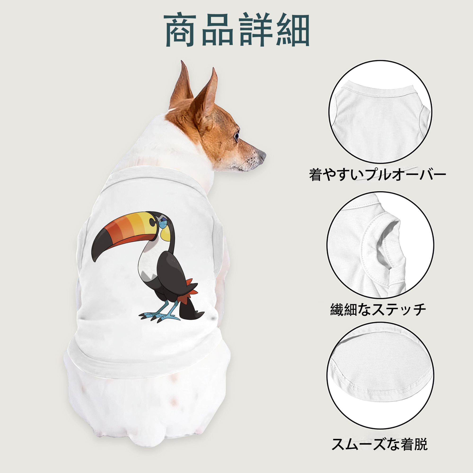 一般的なイメージ