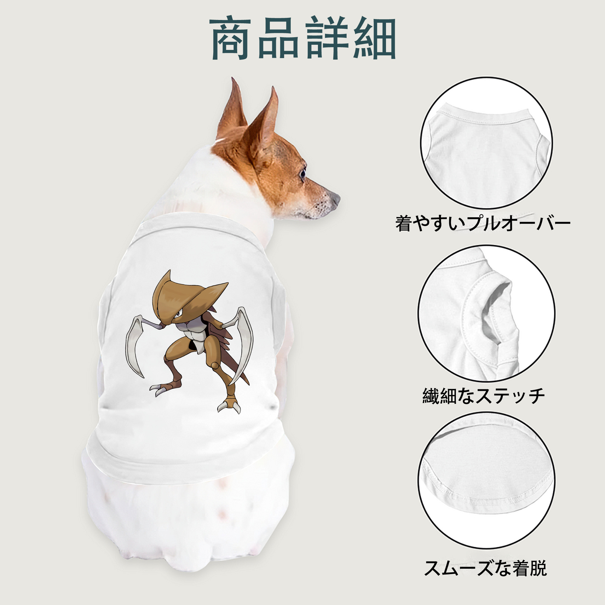 一般的なイメージ