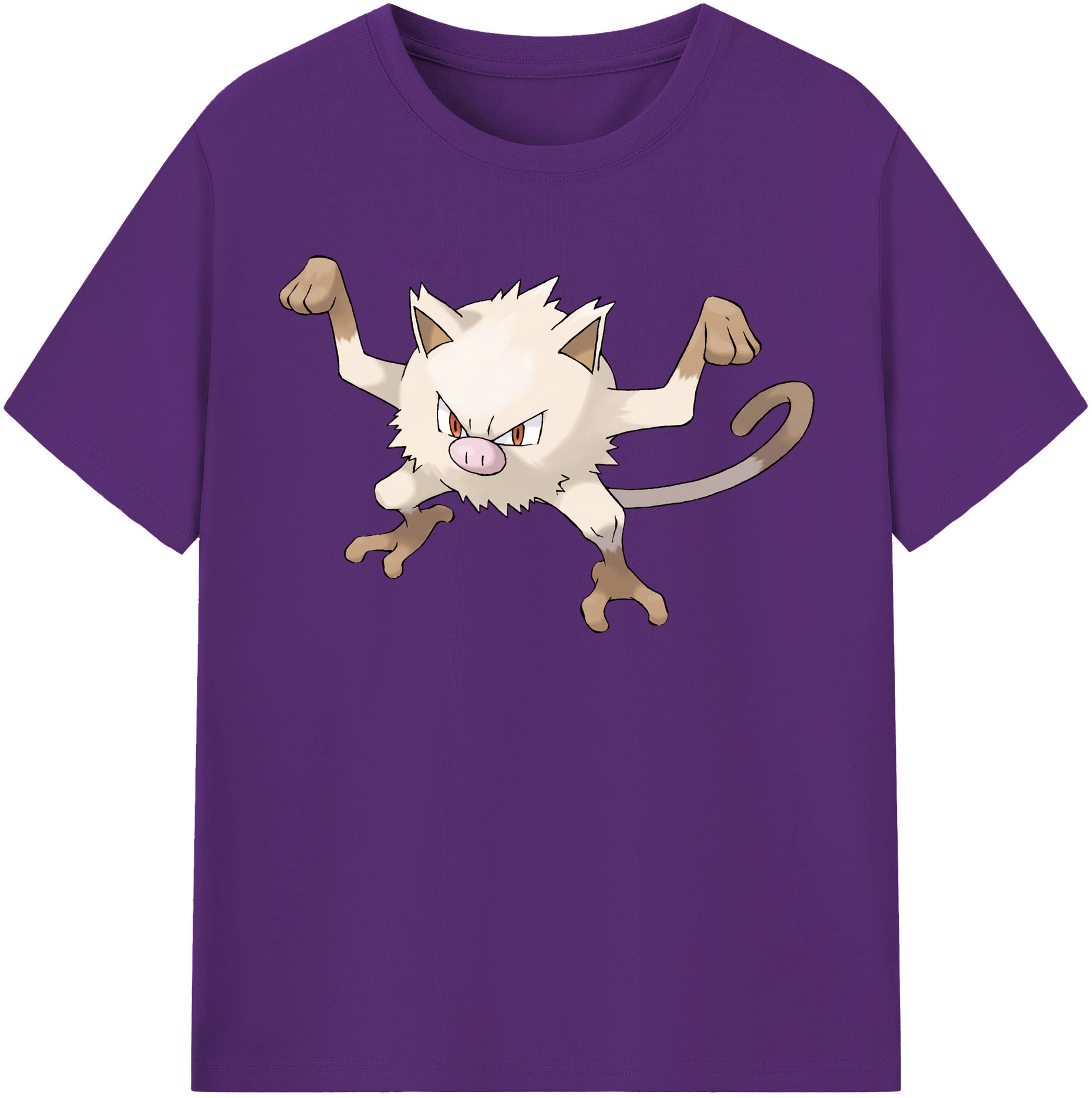 （画像用） ポケットモンスター Pokémon 綿100％半袖Tシャツ（フロントプリント）