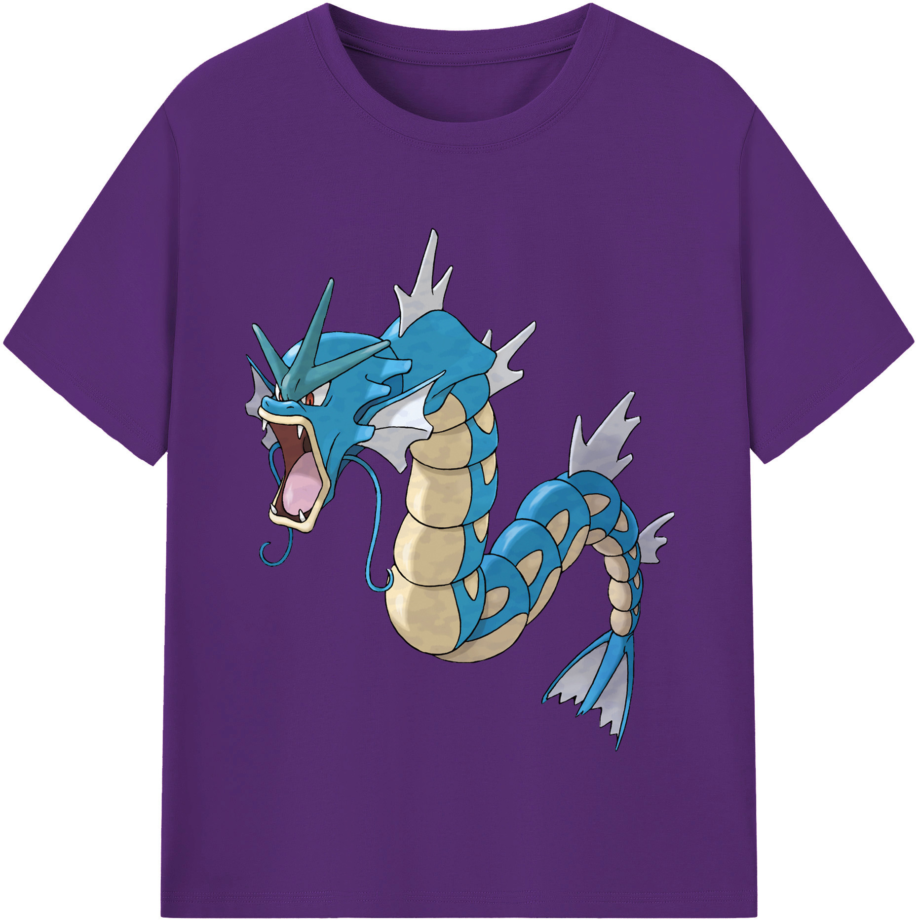 （画像用） ポケットモンスター Pokémon 綿100％半袖Tシャツ（フロントプリント）