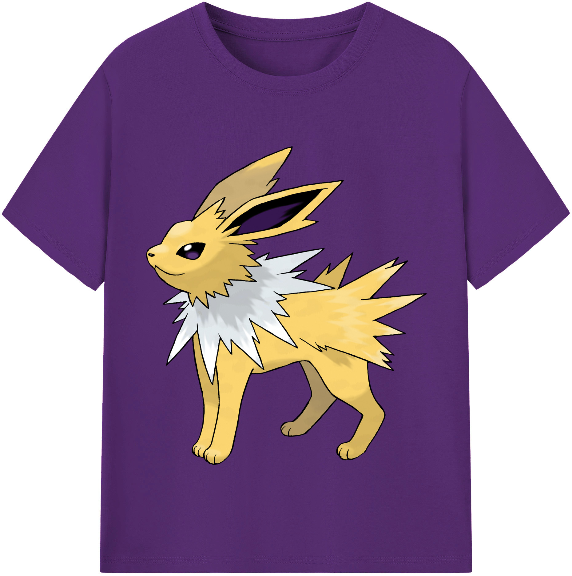 （画像用） ポケットモンスター Pokémon 綿100％半袖Tシャツ（フロントプリント）