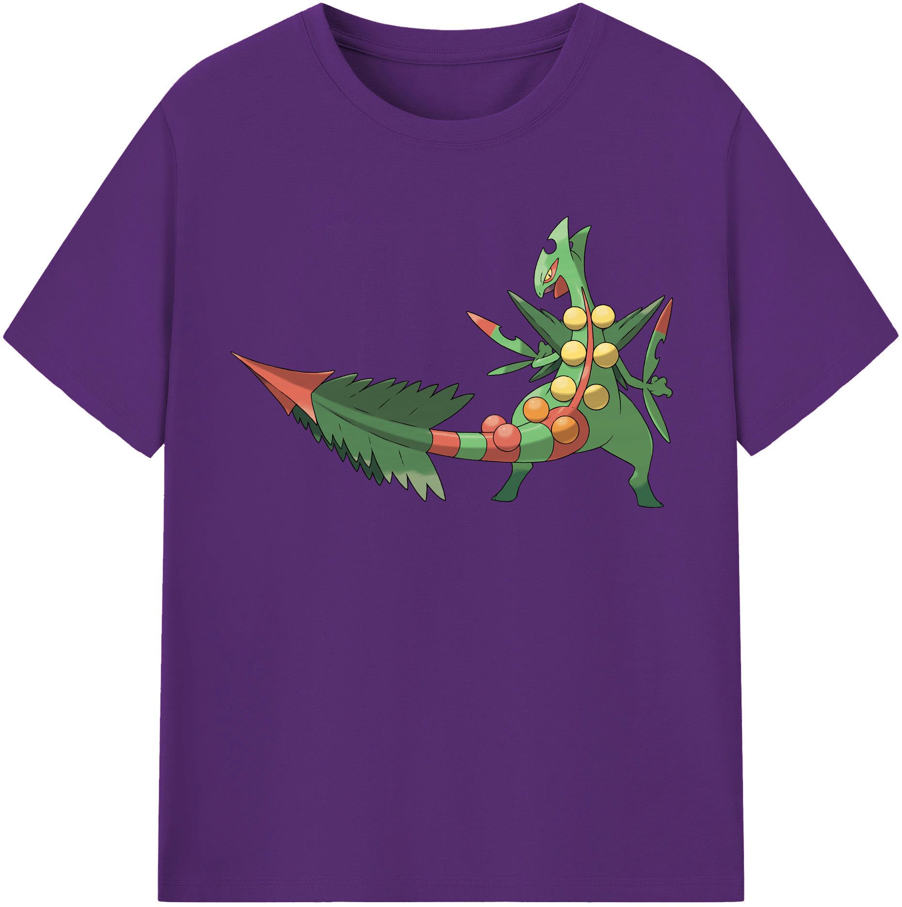 （画像用） ポケットモンスター Pokémon 綿100％半袖Tシャツ（フロントプリント）