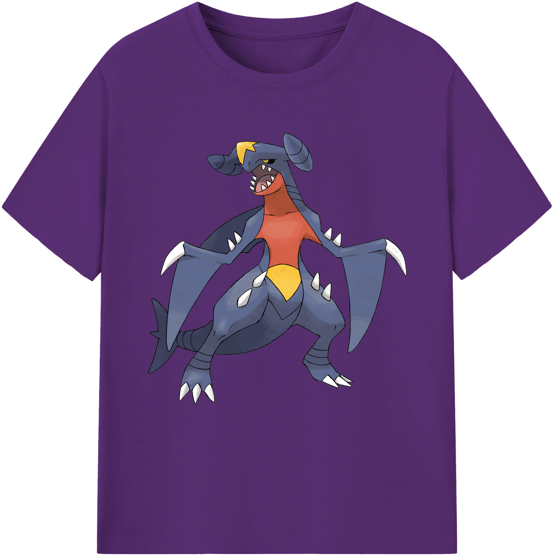 （画像用） ポケットモンスター Pokémon 綿100％半袖Tシャツ（フロントプリント）