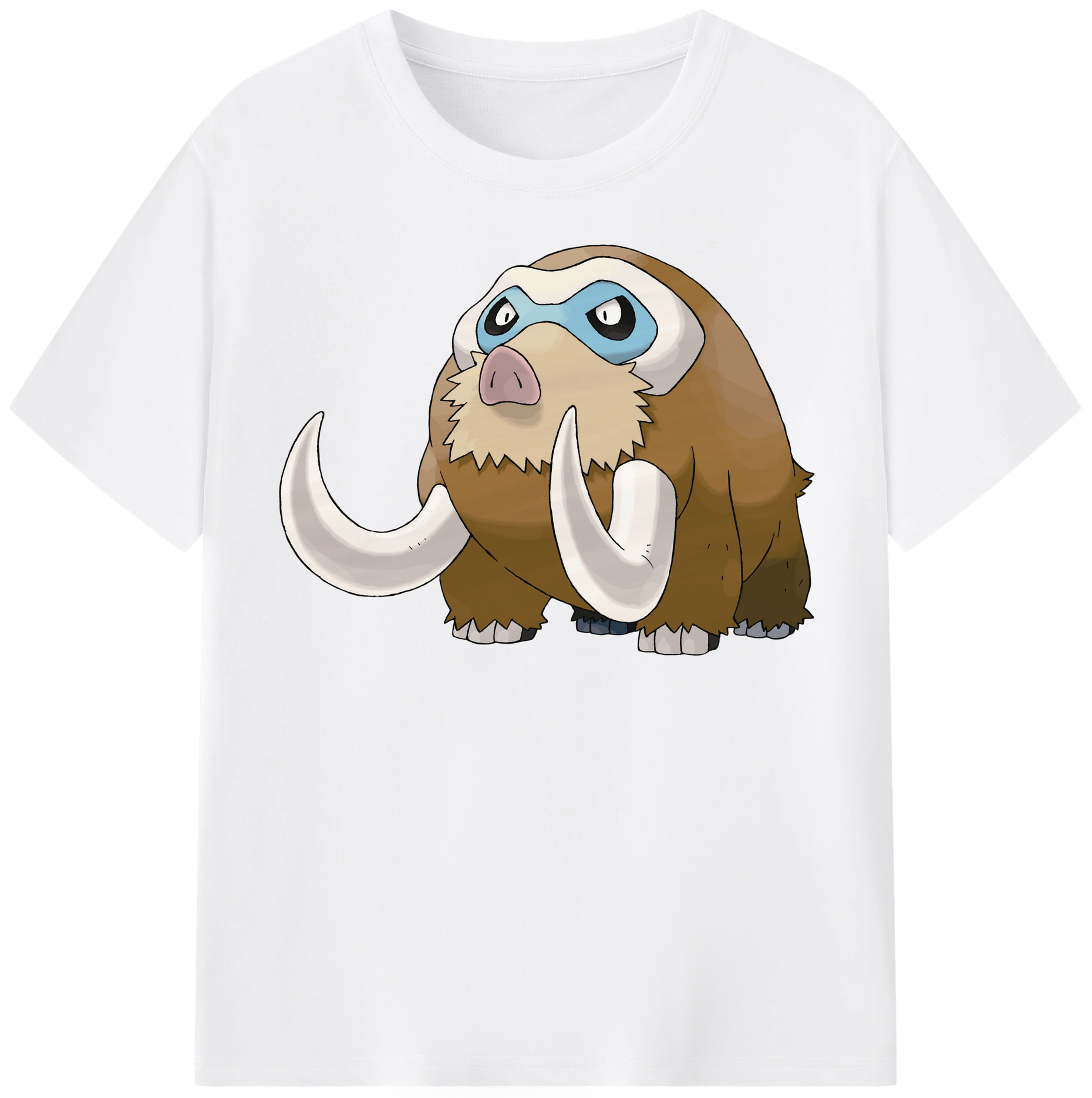 （画像用） ポケットモンスター Pokémon 綿100％半袖Tシャツ（フロントプリント）