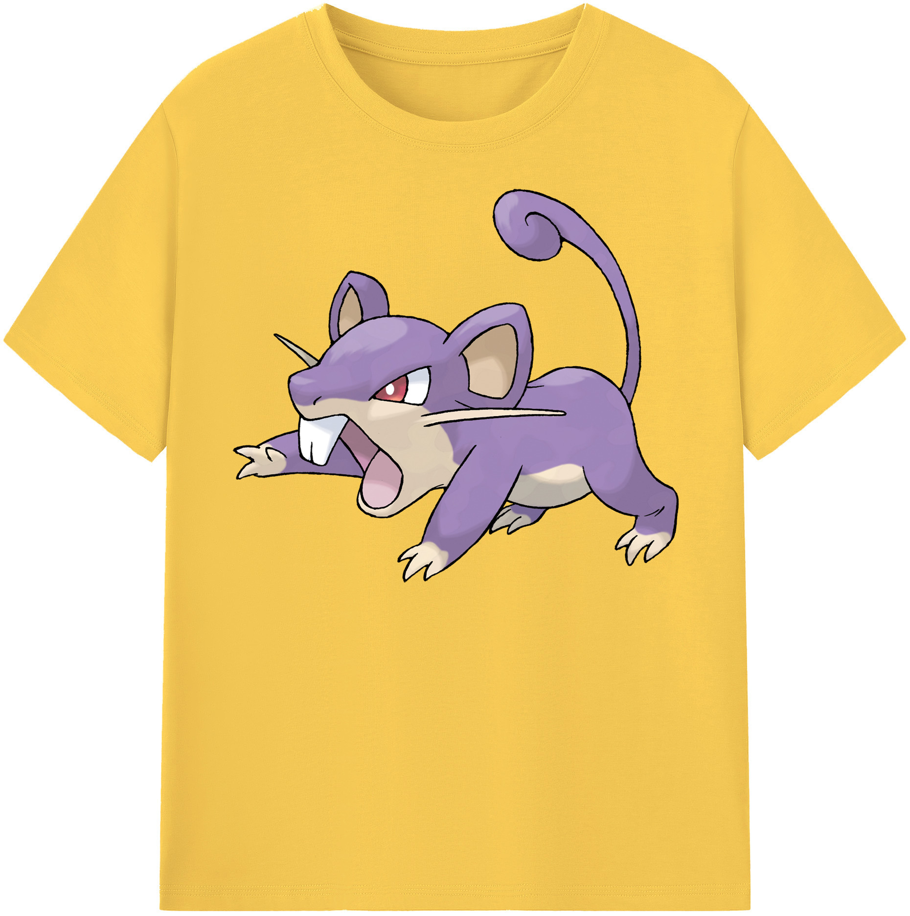 （画像用） ポケットモンスター Pokémon 綿100％半袖Tシャツ（フロントプリント）