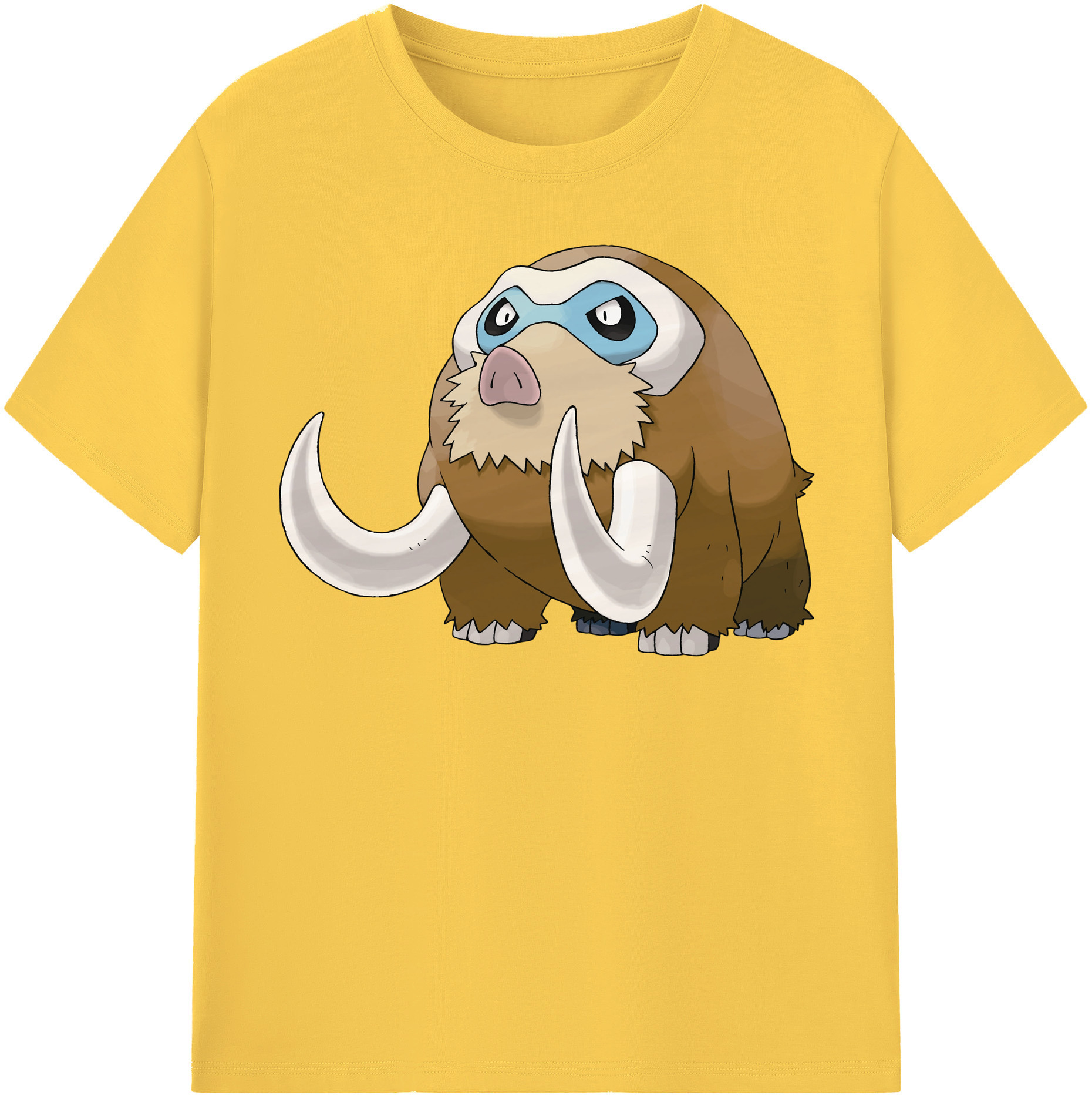 （画像用） ポケットモンスター Pokémon 綿100％半袖Tシャツ（フロントプリント）