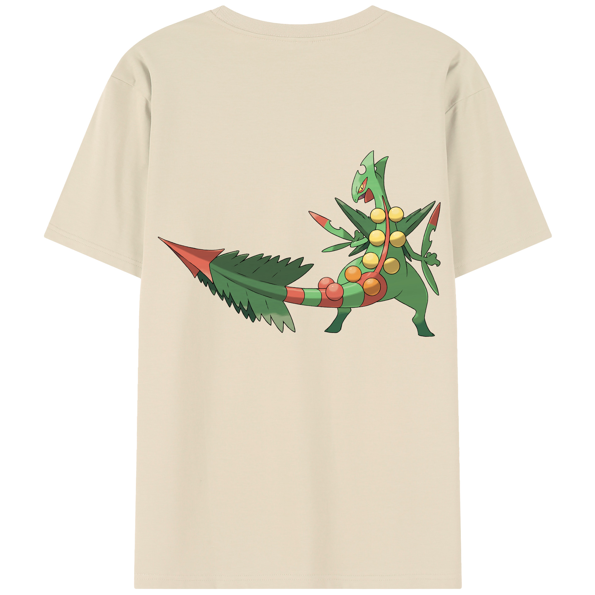 （画像用） ポケットモンスター Pokémon 綿100％半袖Tシャツ（背面プリント）