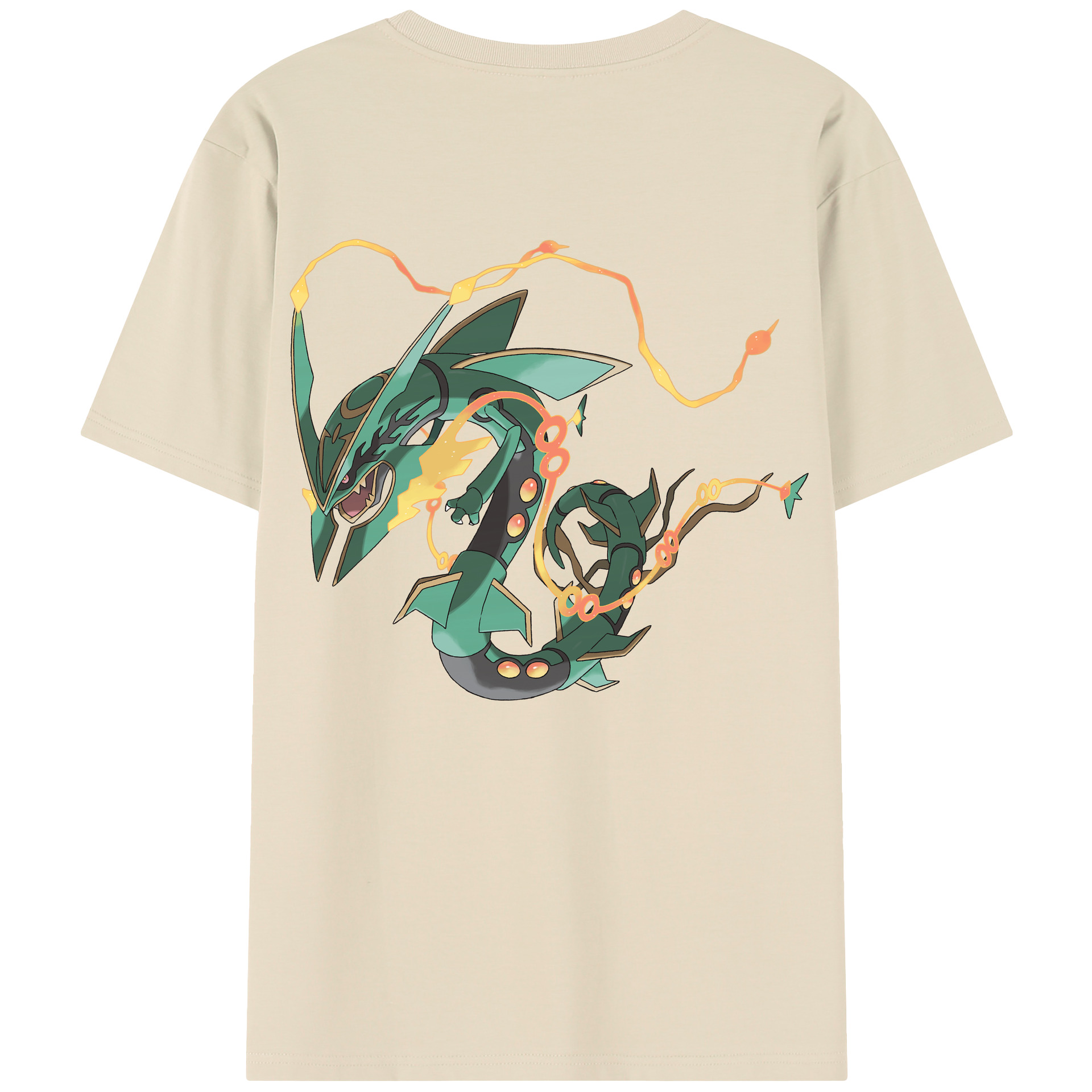 （画像用） ポケットモンスター Pokémon 綿100％半袖Tシャツ（背面プリント）