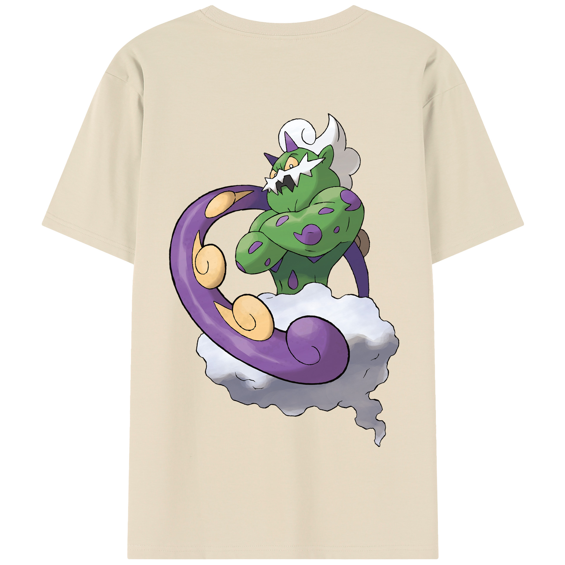 （画像用） ポケットモンスター Pokémon 綿100％半袖Tシャツ（背面プリント）